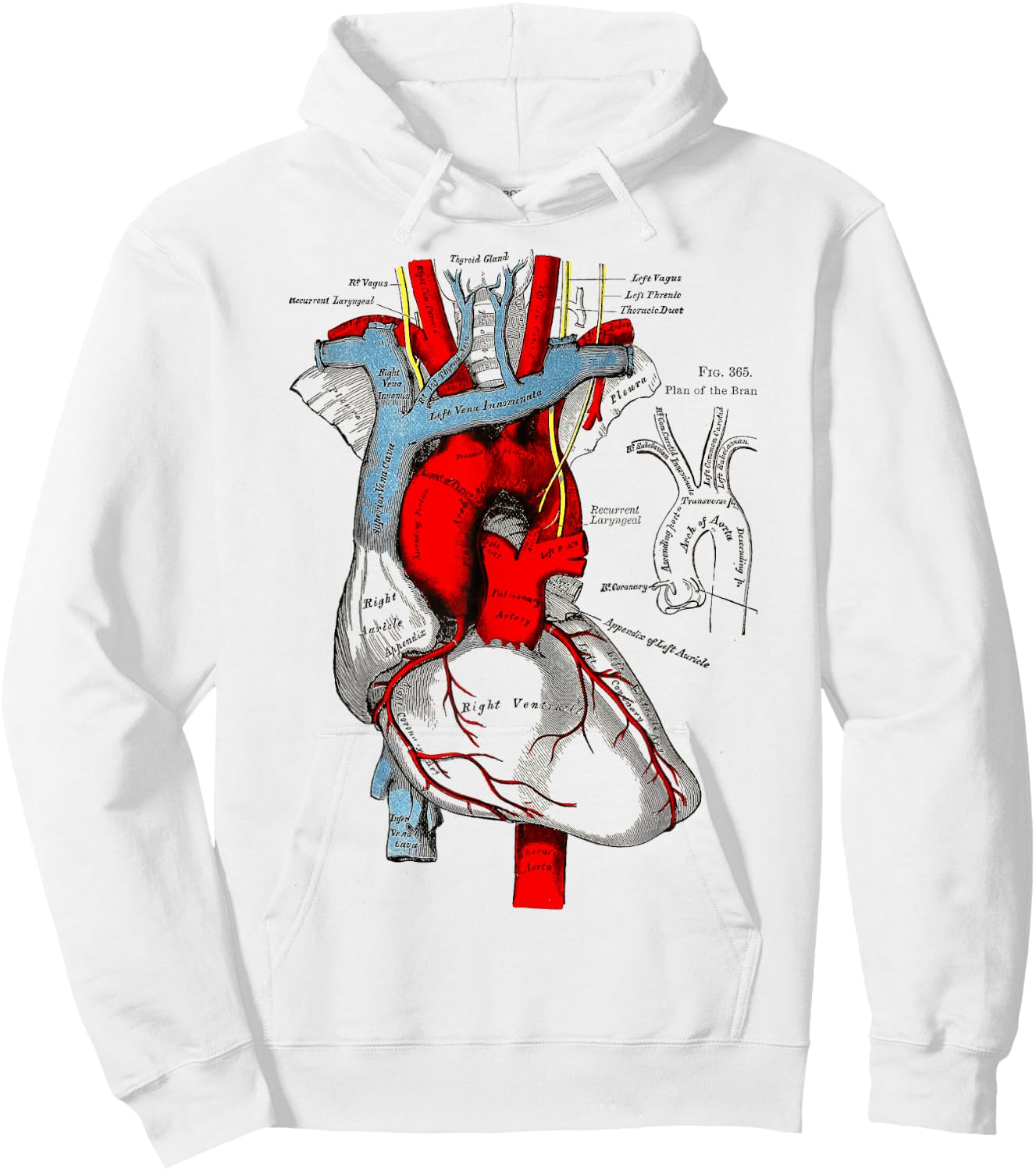 Vintage medical Human Heart Anatomy Illustration Hoodie - Hoodie | White