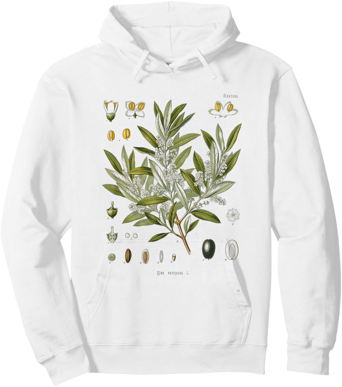 Vintage Botanical Garden Botany Olive tree Hoodie - Hoodie | White