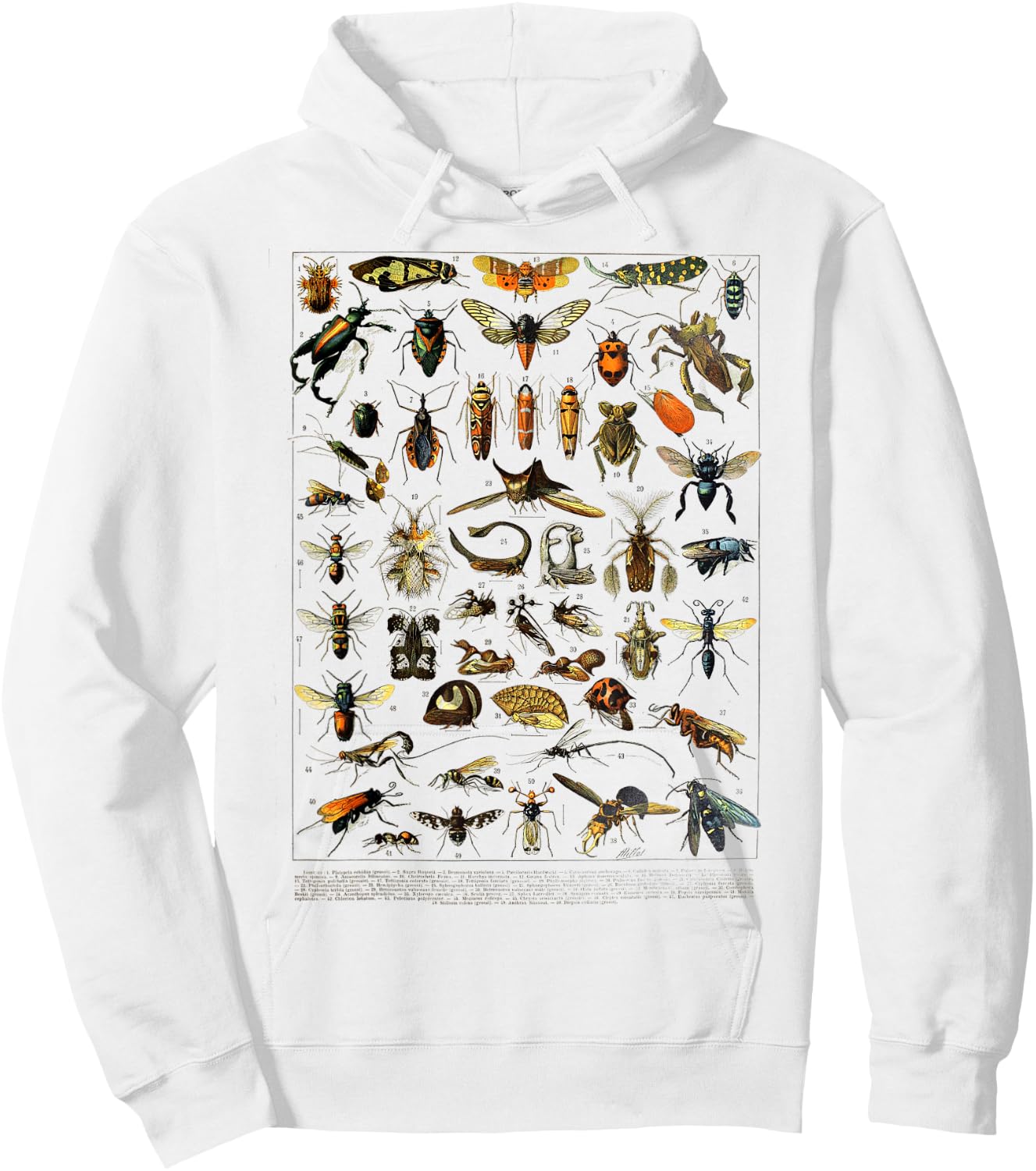 insects Collection Species Bugs Vintage Entomology Hoodie - Hoodie | White