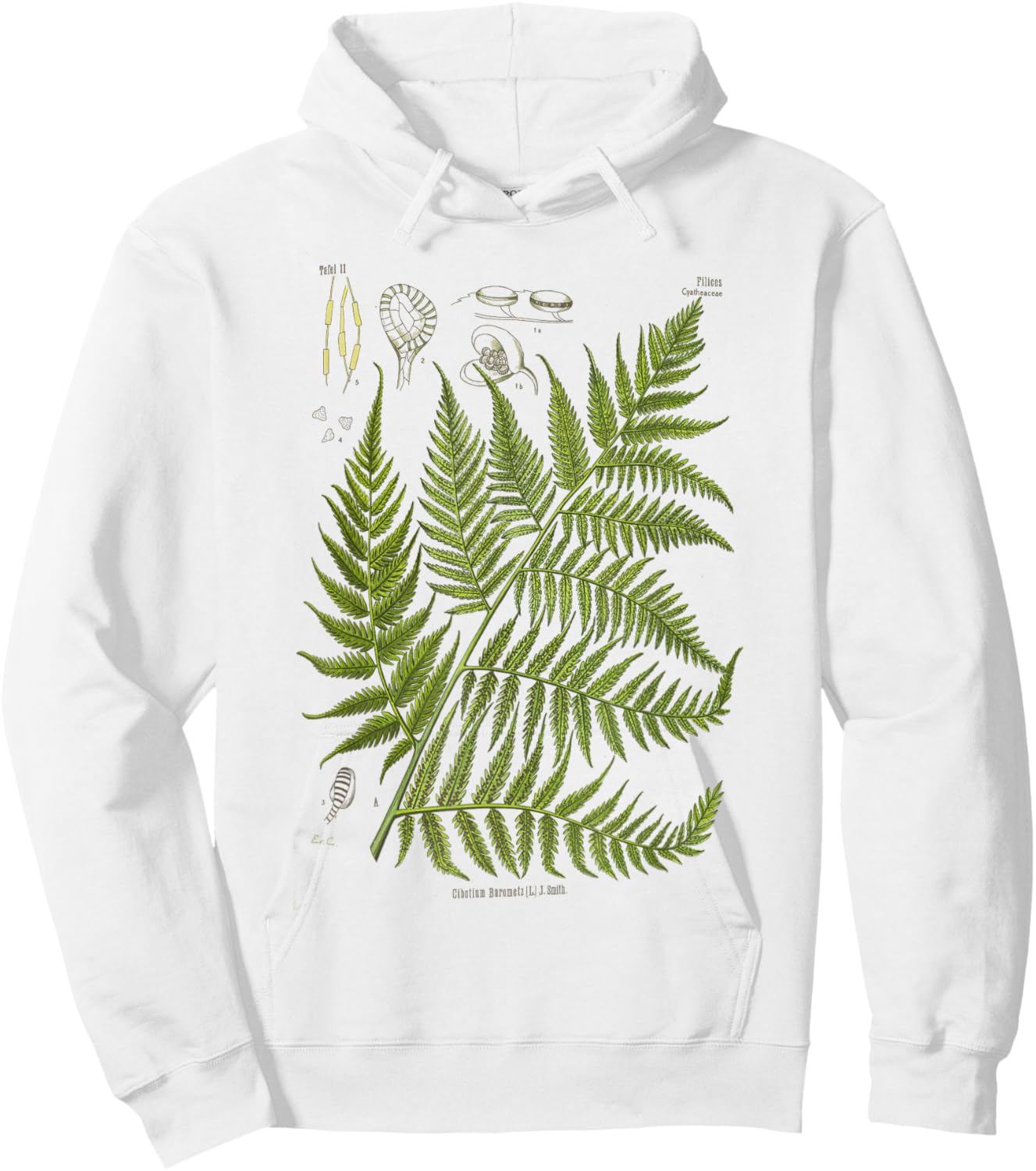 Vintage Botanical Fern Garden Botany Fern Hoodie - Hoodie | White