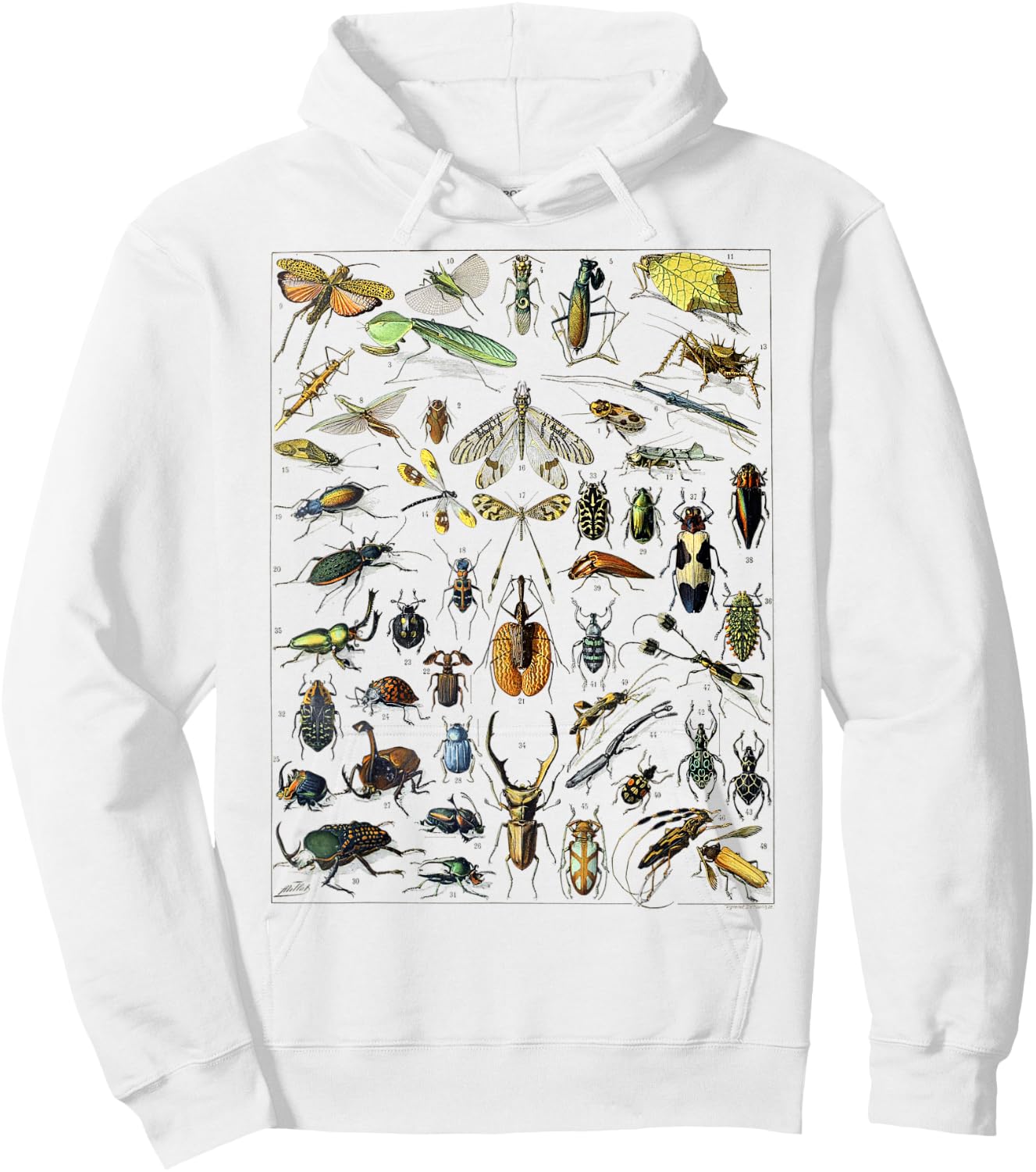 Insect Bug Entomology Print Gift Bug Print Hoodie - Hoodie | White