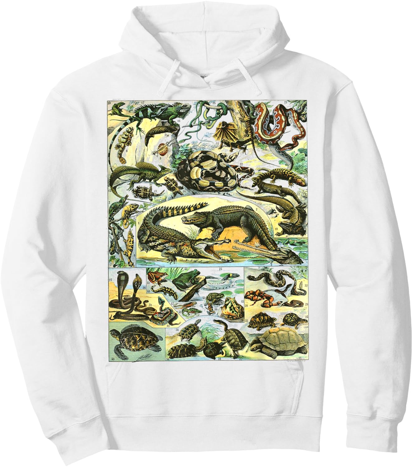 Reptiles Collection Table Turtle Snake Species Vintage Hoodie - Hoodie | White