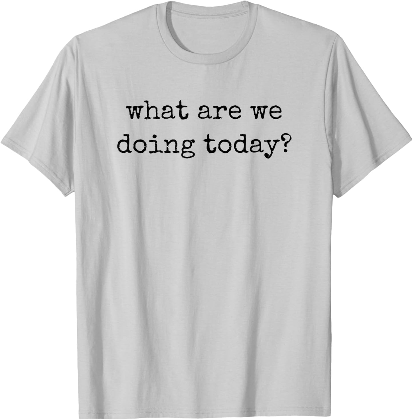 What Are We Doing Today? What Do You Want to Do Today? T-Shirt - T-Shirt | Ash