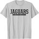 Windsor Jaguars Softball HS T-Shirt - T-Shirt | Ash