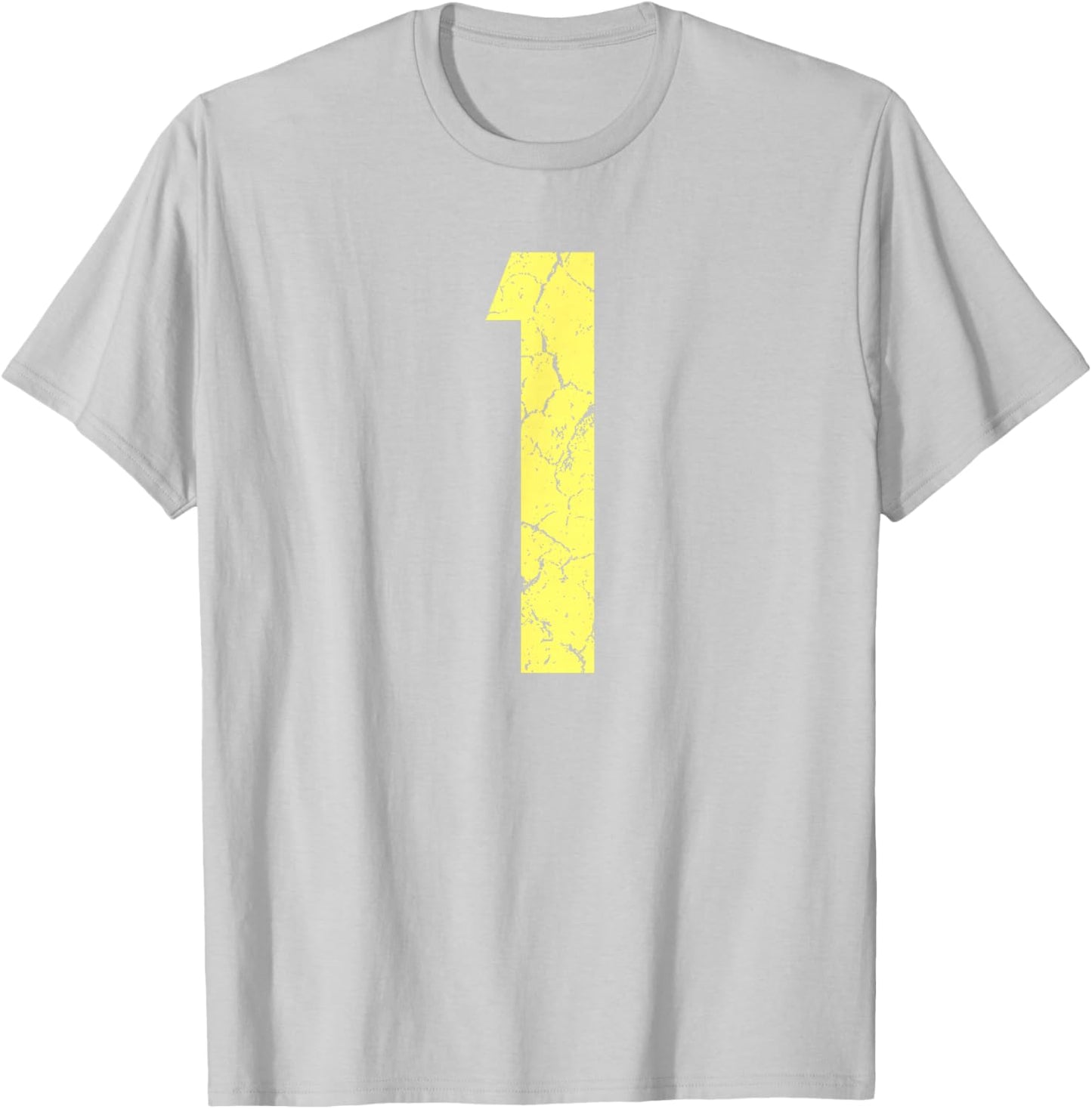 Fan T-Shirt - T-Shirt | Ash