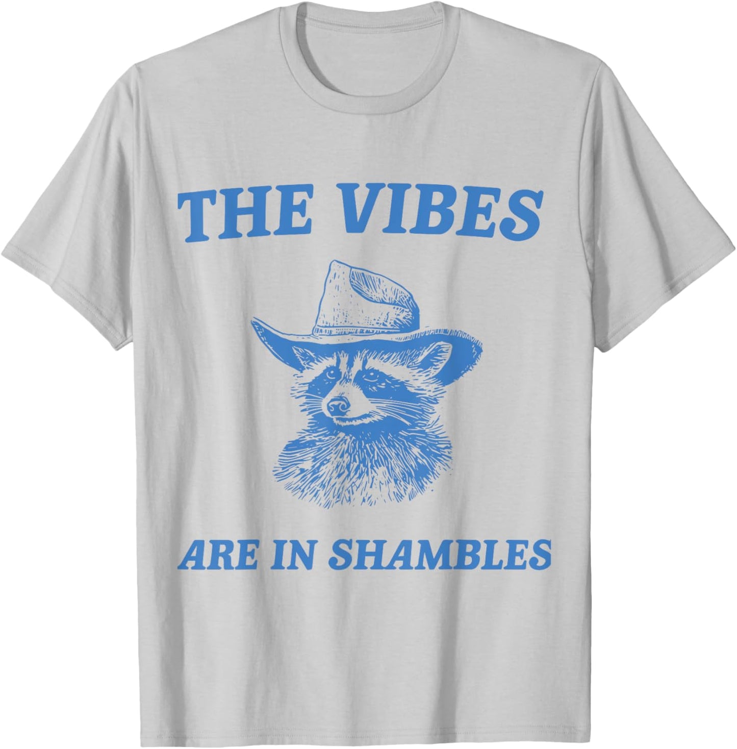 The Vibes Are In Shambles T-Shirt - T-Shirt | Ash