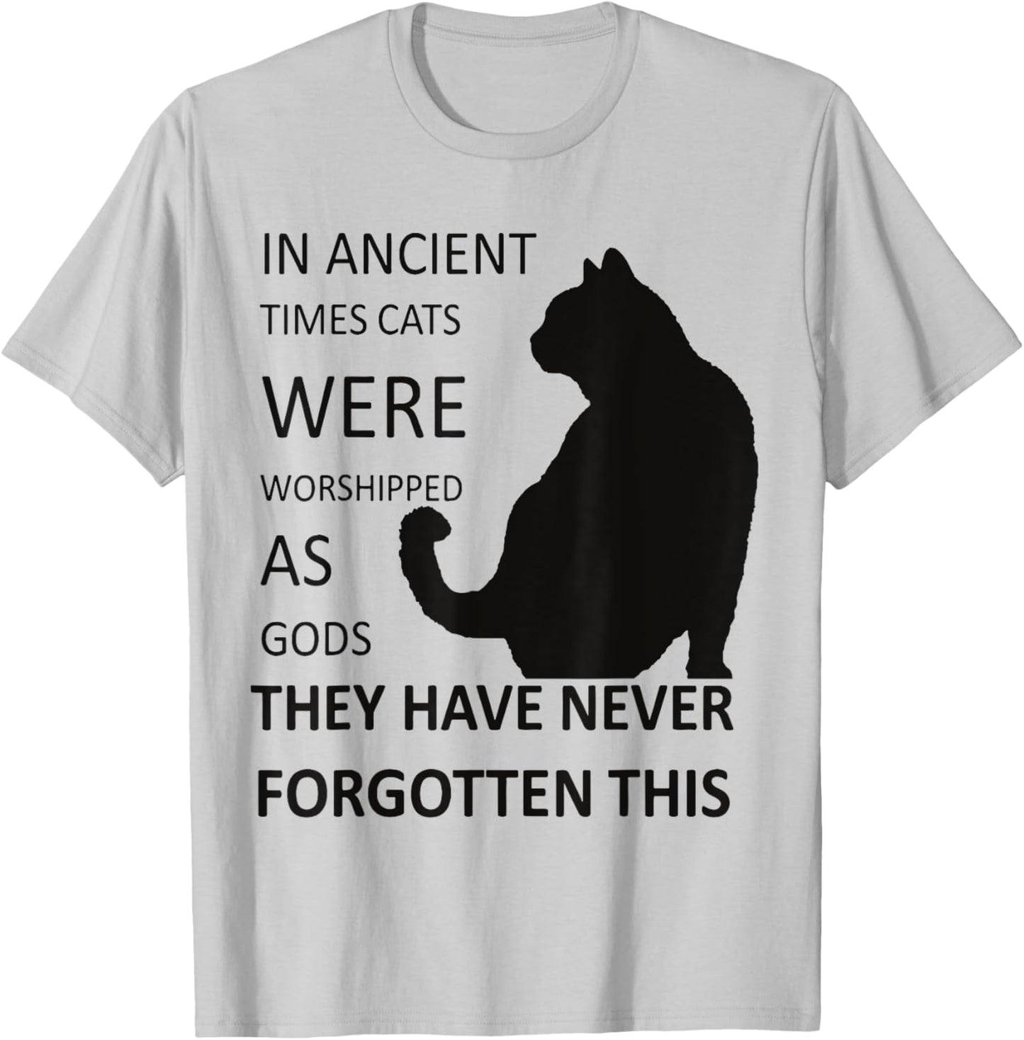 In Ancient Times Cats Were Worshipped As Gods v1 T-Shirt - T-Shirt | Ash