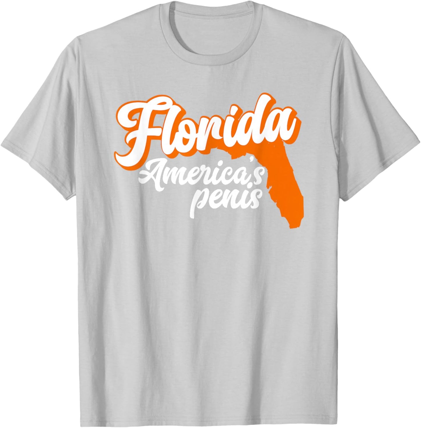 Florida is America’S Penis - Funny Florida Sucks T-Shirt - T-Shirt | Ash