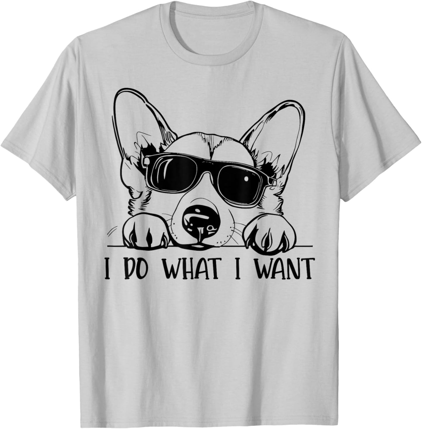 Corgi Dog Owner I Do What I Want Funny Pet T-Shirt - T-Shirt | Ash