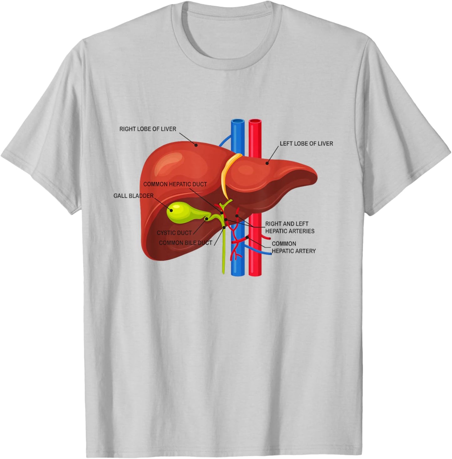 Funny Human Liver Anatomy Anatomical Liver T-Shirt - T-Shirt | Ash
