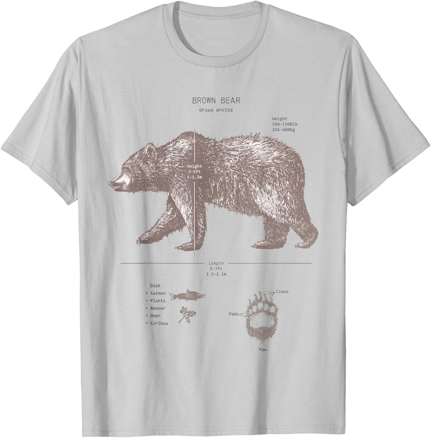 Brown Bear Anatomy T-Shirt - T-Shirt | Ash