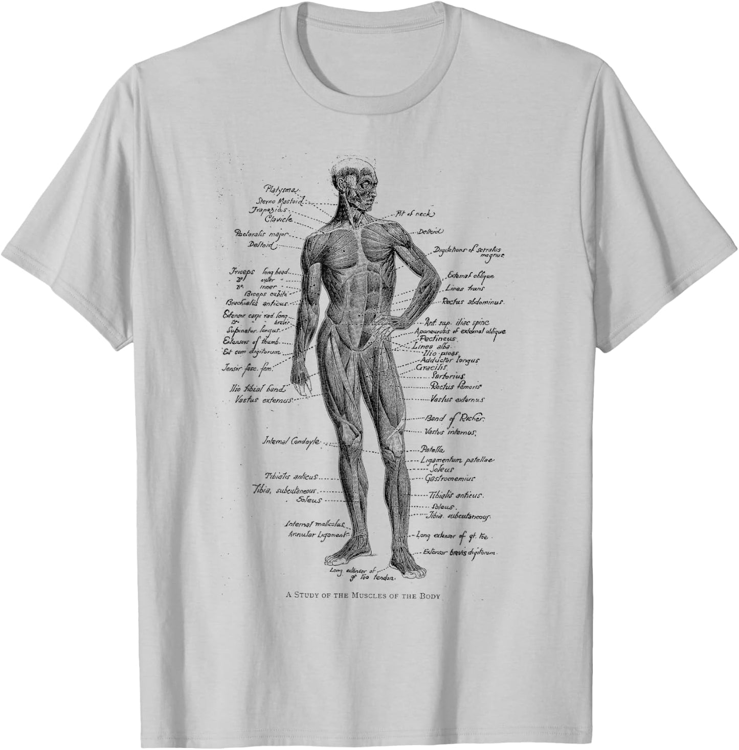 Human Muscle Anatomy Design Gift T-Shirt - T-Shirt | Ash