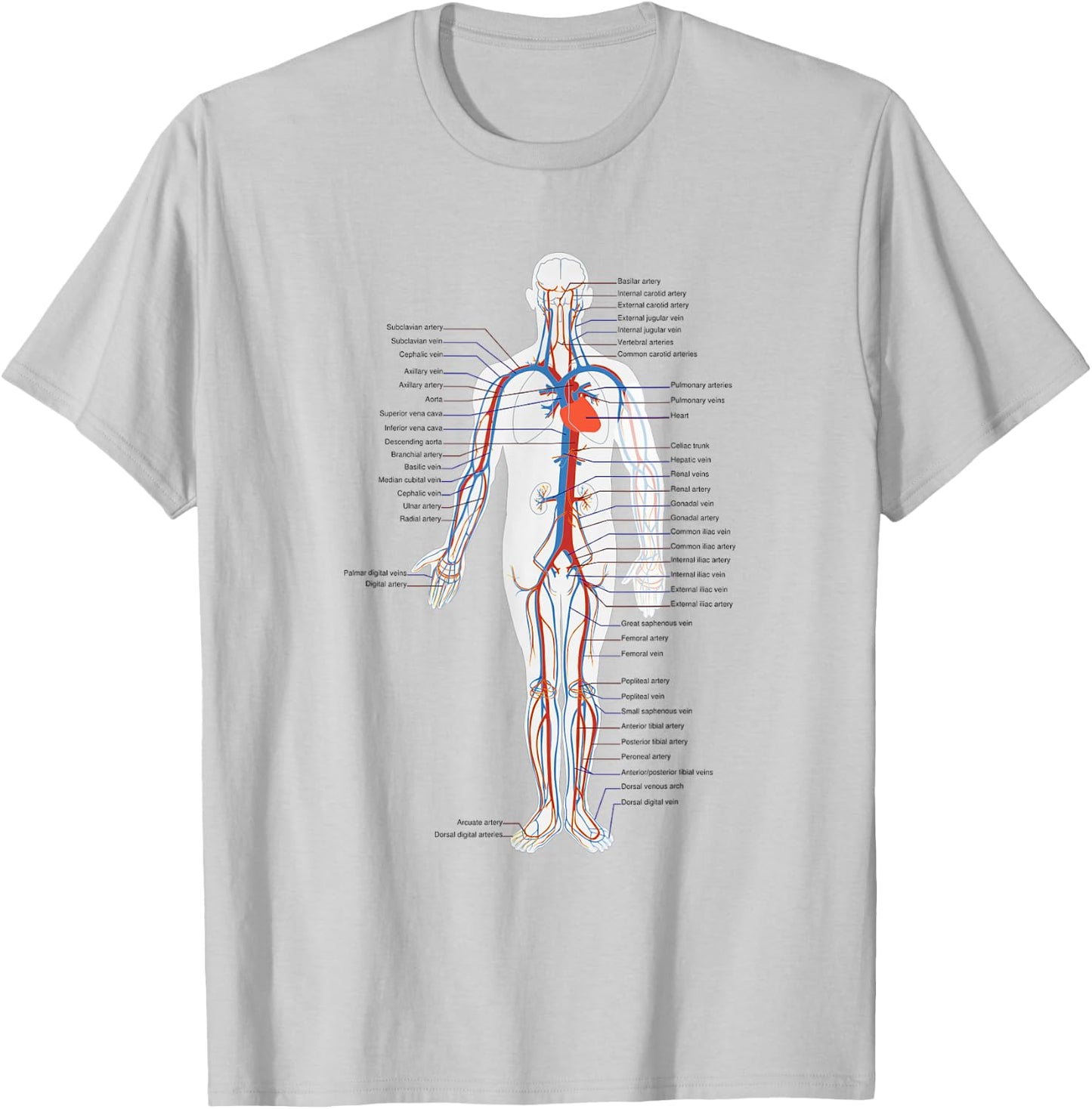 Circulatory System Anatomy Chart Arteries Veins T-Shirt - T-Shirt | Ash