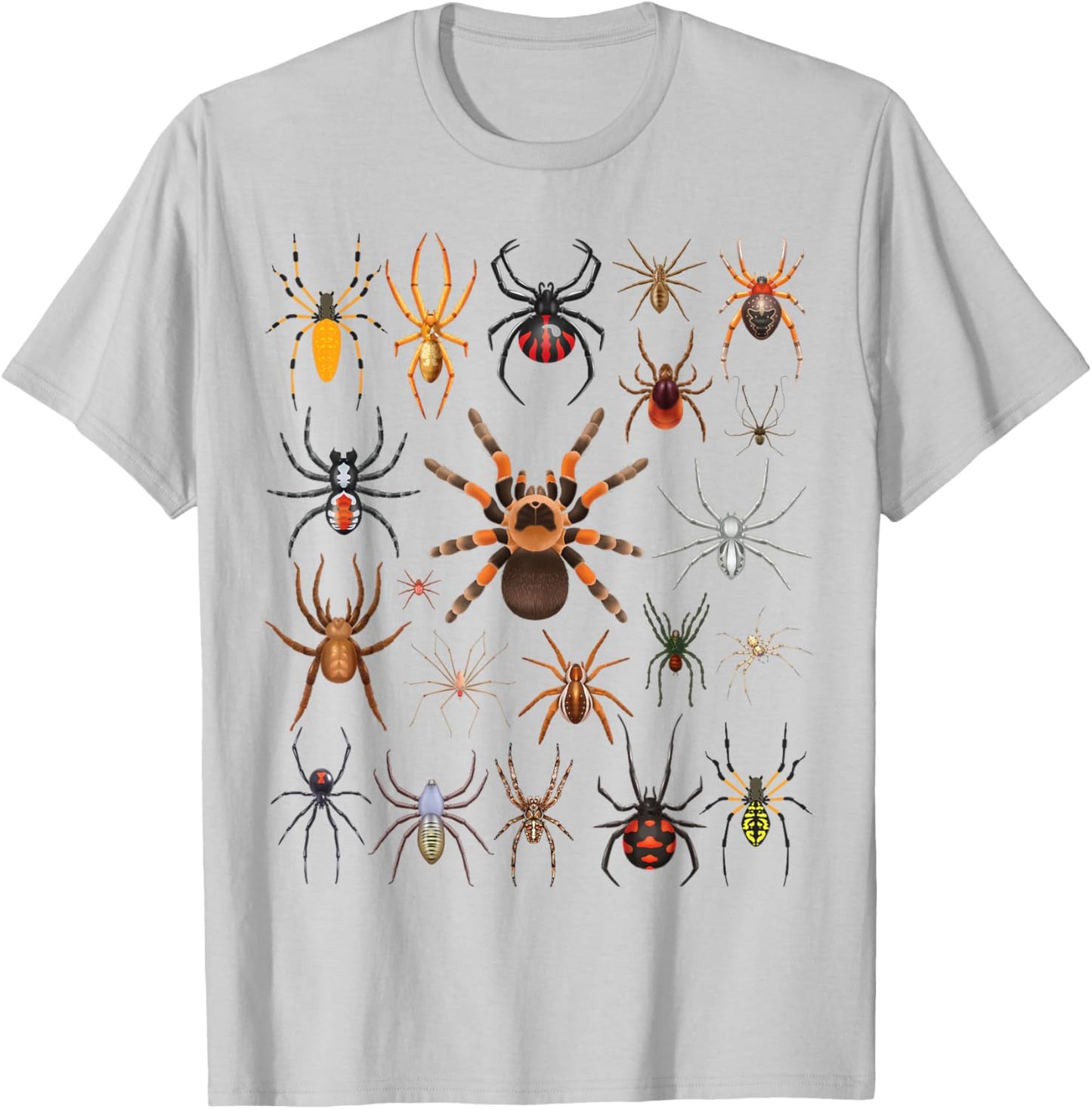 Types of Spiders Educational Entomology Boys Girls Kids T-Shirt - T-Shirt | Ash