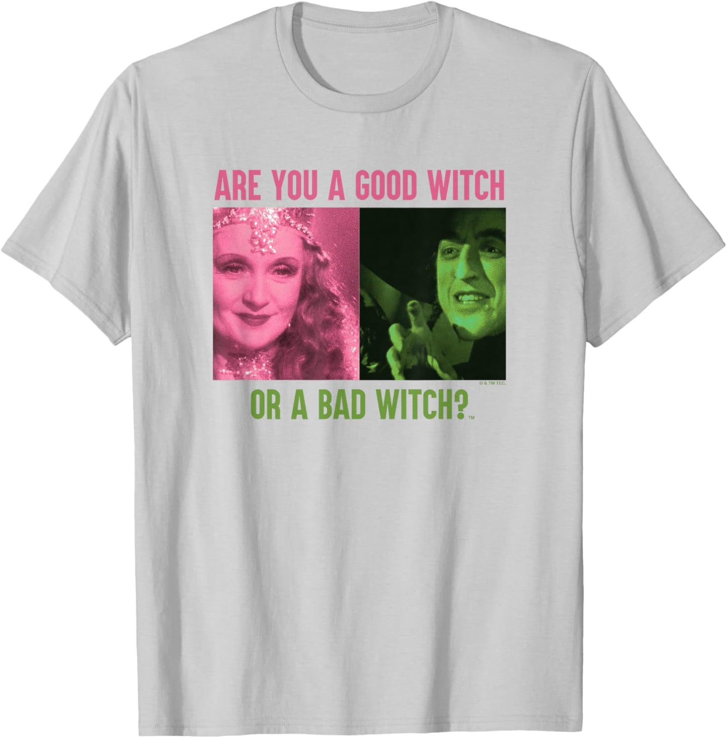 The Wizard of Oz Good Witch or Bad Witch T-Shirt - T-Shirt | Ash