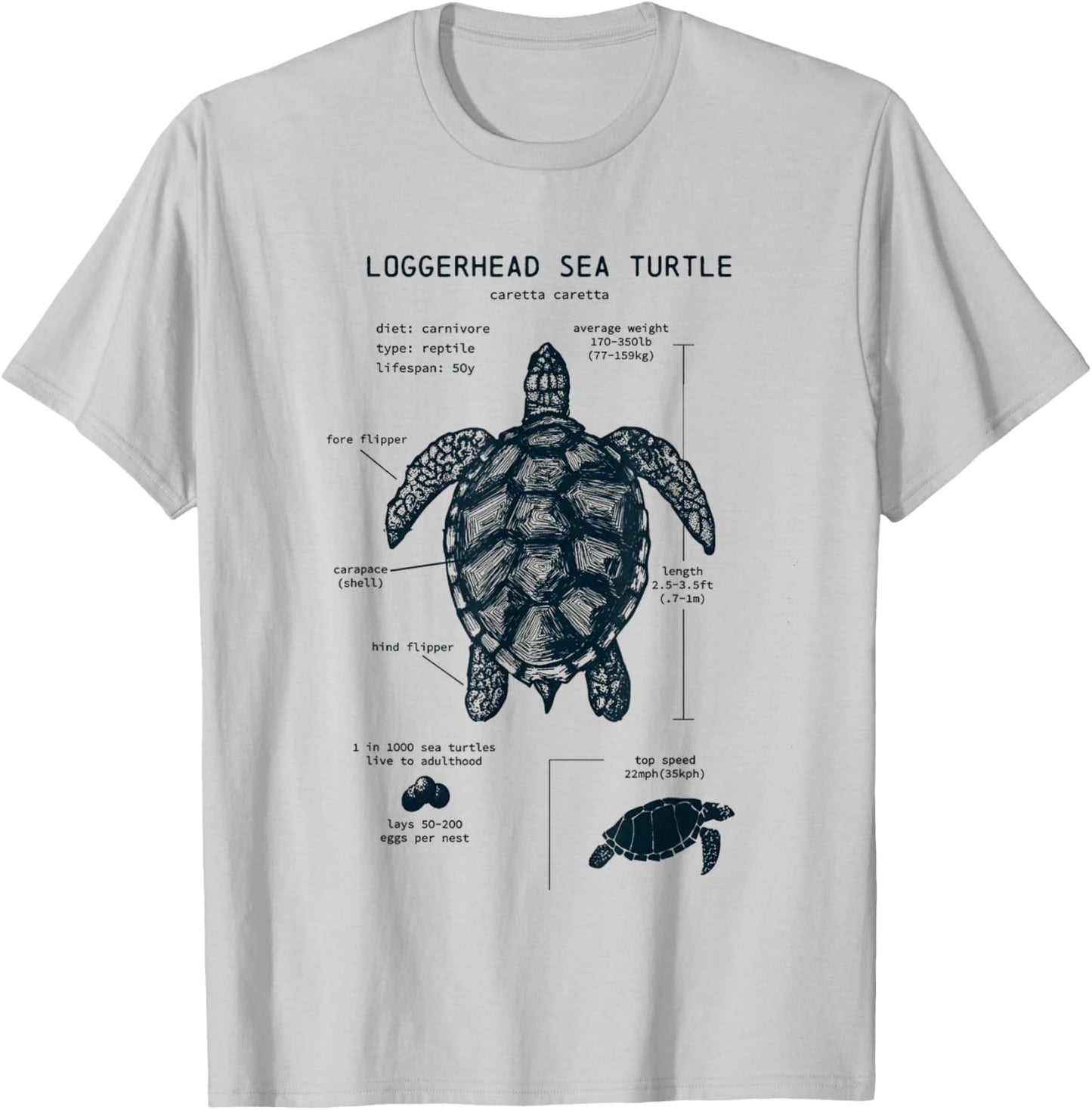 Youth Sea Turtle Anatomy T-Shirt - T-Shirt | Ash