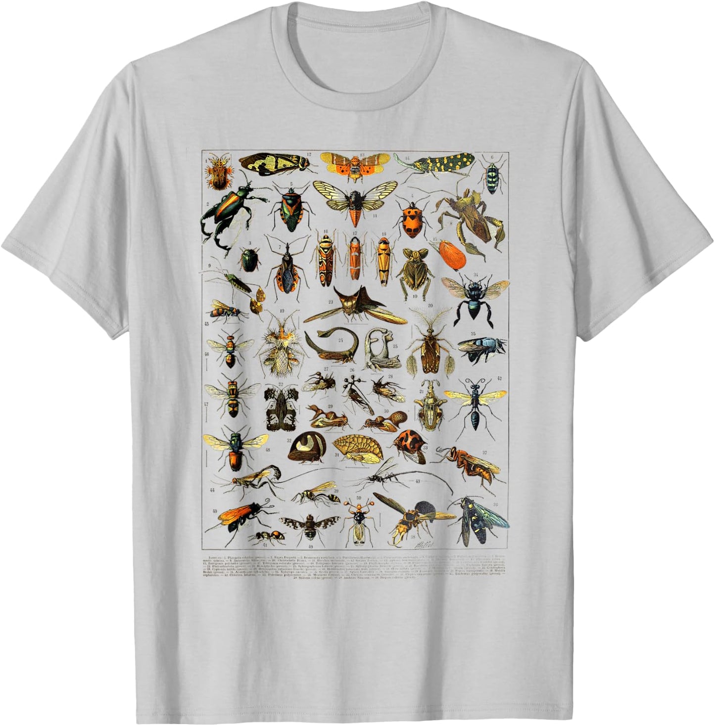 insects Collection Species Bugs Vintage Entomology T-Shirt - T-Shirt | Ash