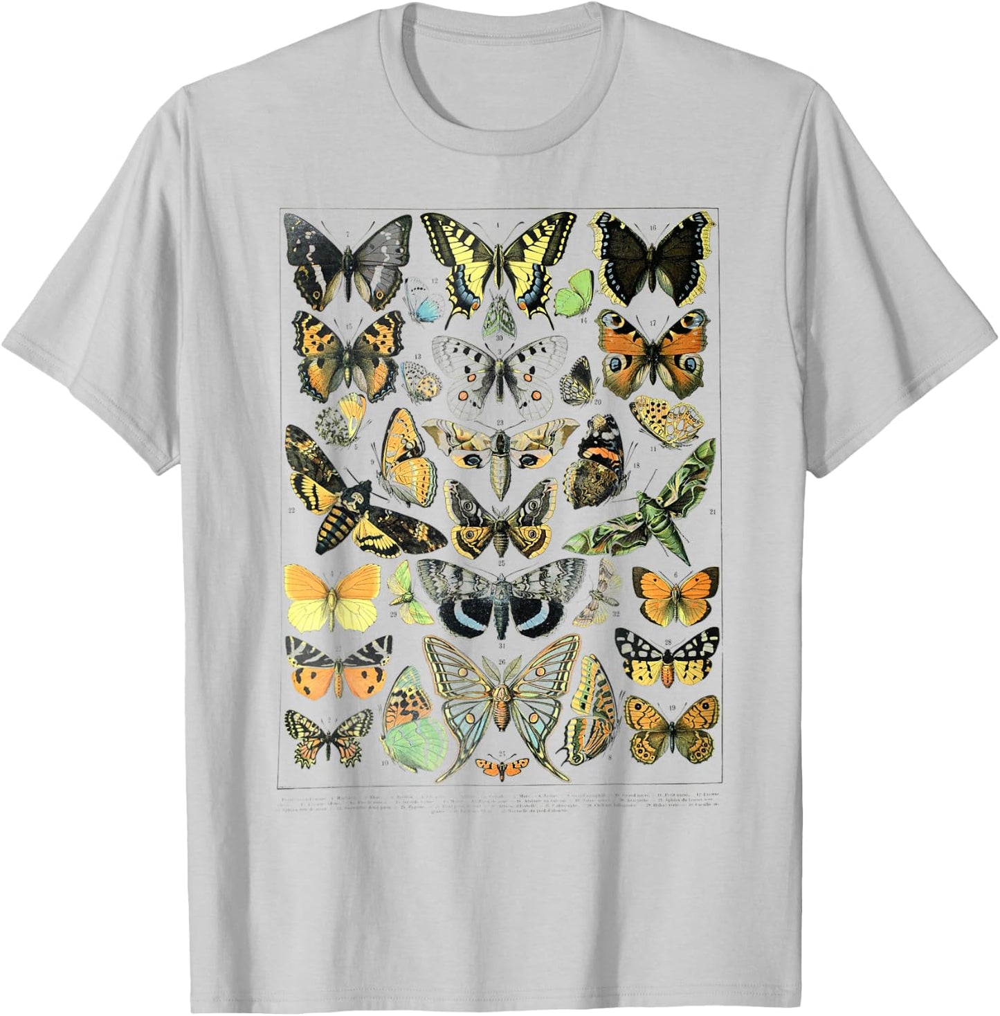Papillons Butterflies print Butterflies Illustration chart T-Shirt - T-Shirt | Ash