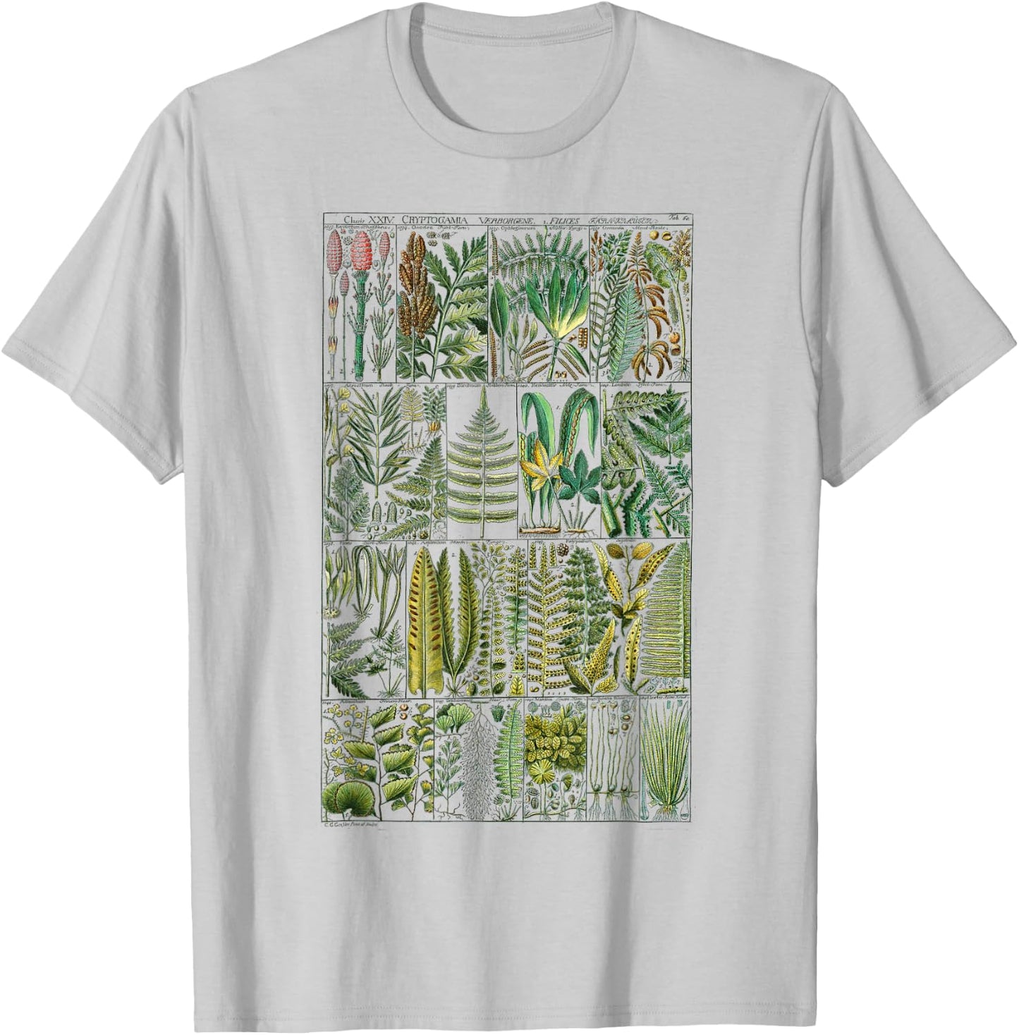 Fern Botanical Plant Botany T-Shirt - T-Shirt | Ash