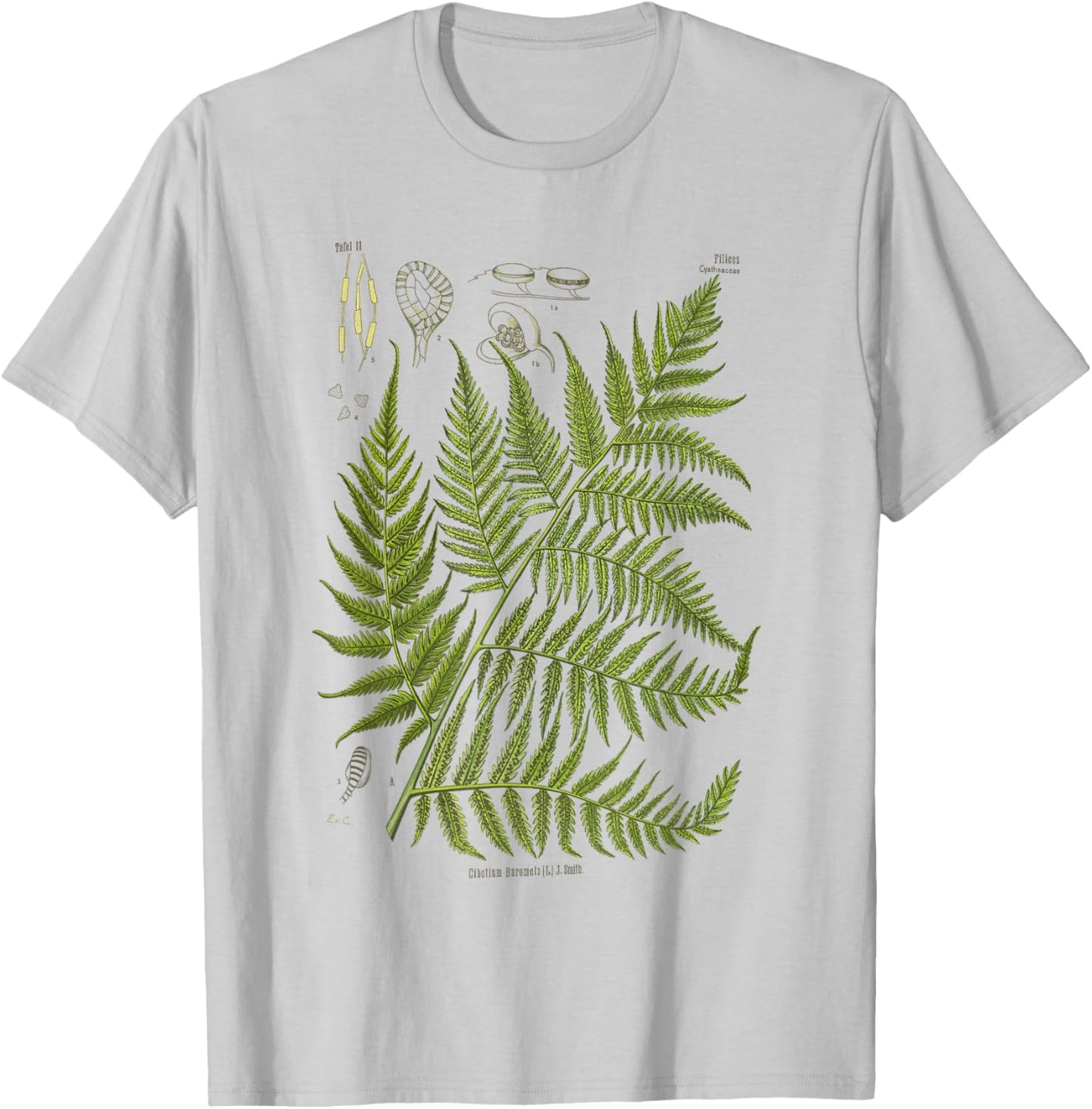 Vintage Botanical Fern Garden Botany Fern T-Shirt - T-Shirt | Ash