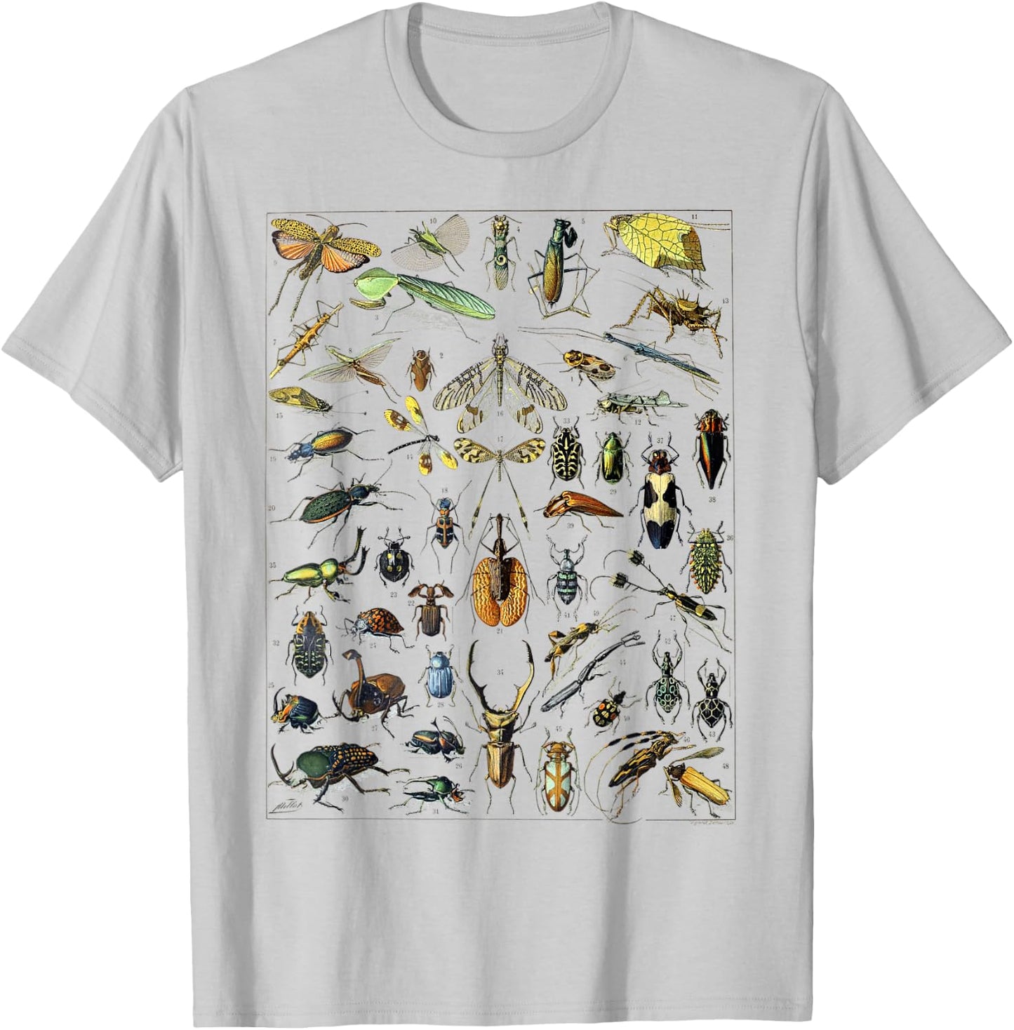 Insect Bug Entomology Print Gift Bug Print T-Shirt - T-Shirt | Ash