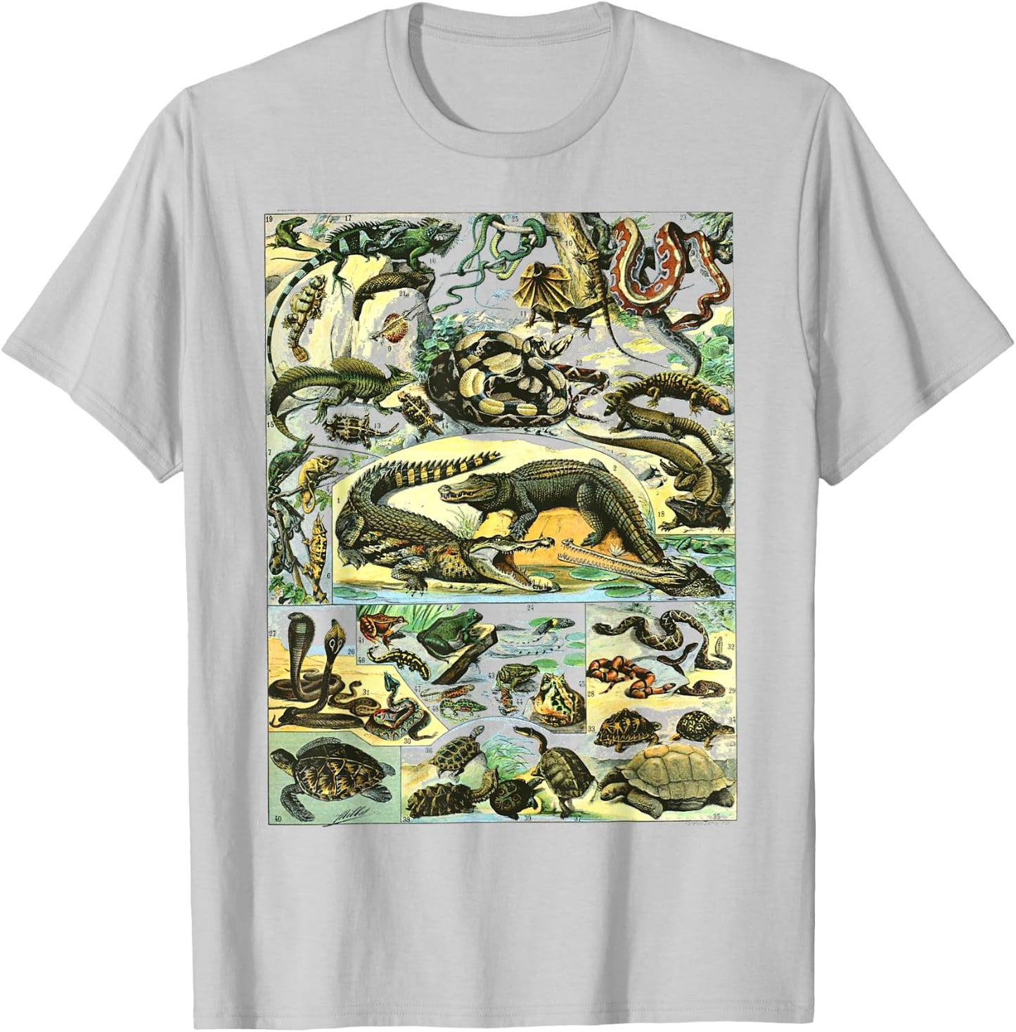 Reptiles Collection Table Turtle Snake Species Vintage T-Shirt - T-Shirt | Ash