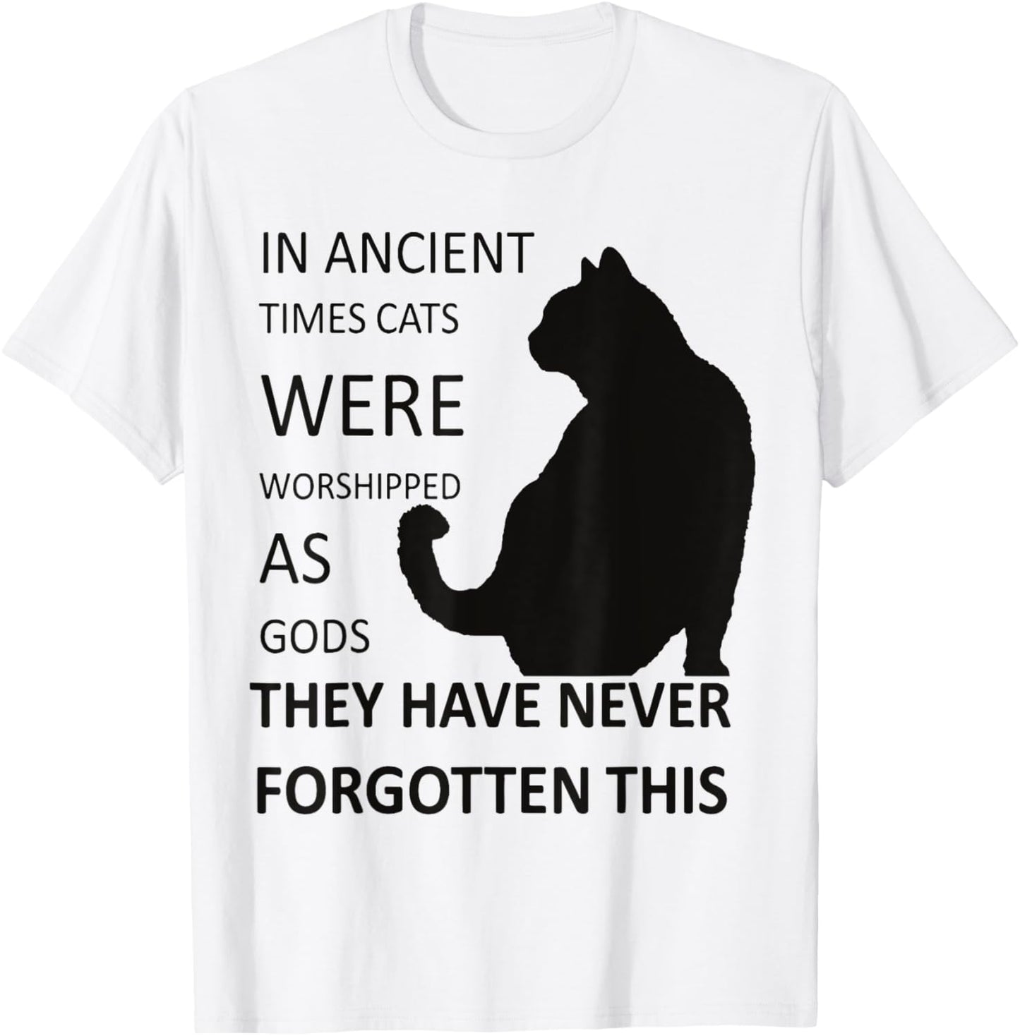 In Ancient Times Cats Were Worshipped As Gods v1 T-Shirt - T-Shirt | White