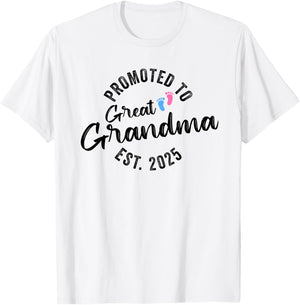 Promoted To Great Grandma 2025 T-Shirt - T-Shirt | White