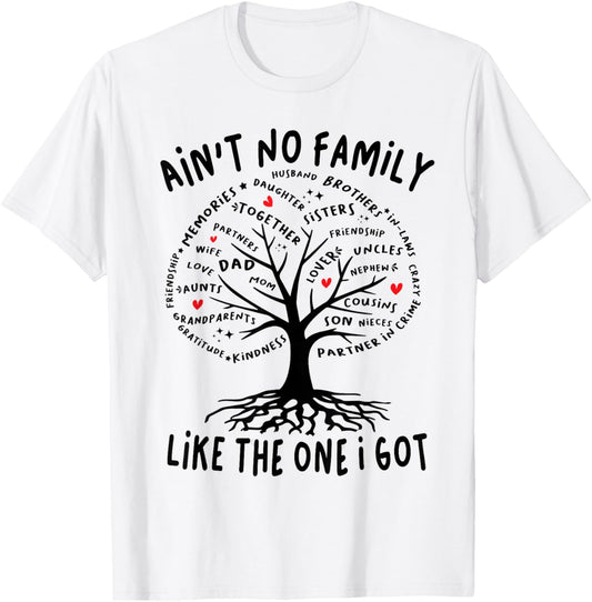 Ain't No Family Like The One I Got Matching Family Reunion T-Shirt - T-Shirt | White