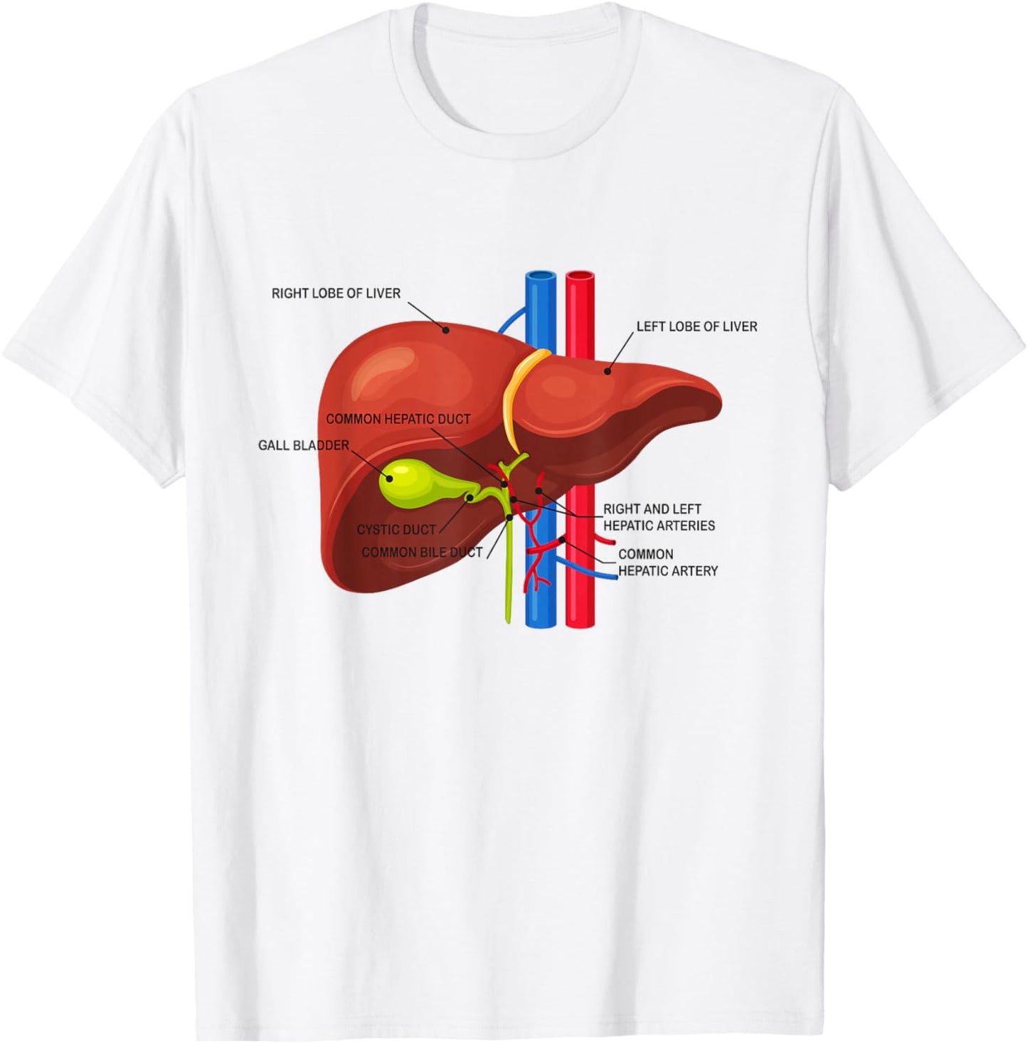 Funny Human Liver Anatomy Anatomical Liver T-Shirt - T-Shirt | White
