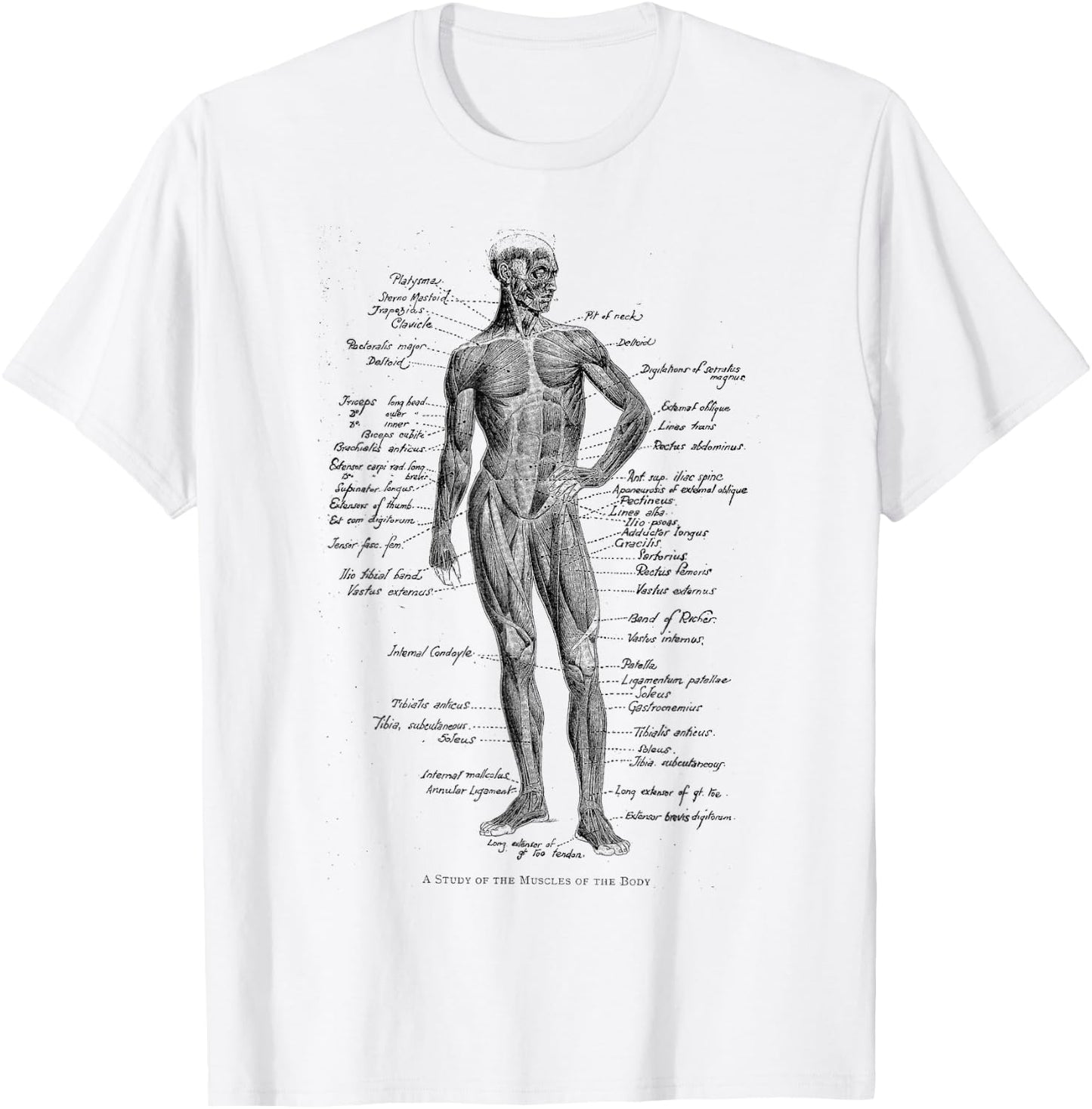 Human Muscle Anatomy Design Gift T-Shirt - T-Shirt | White