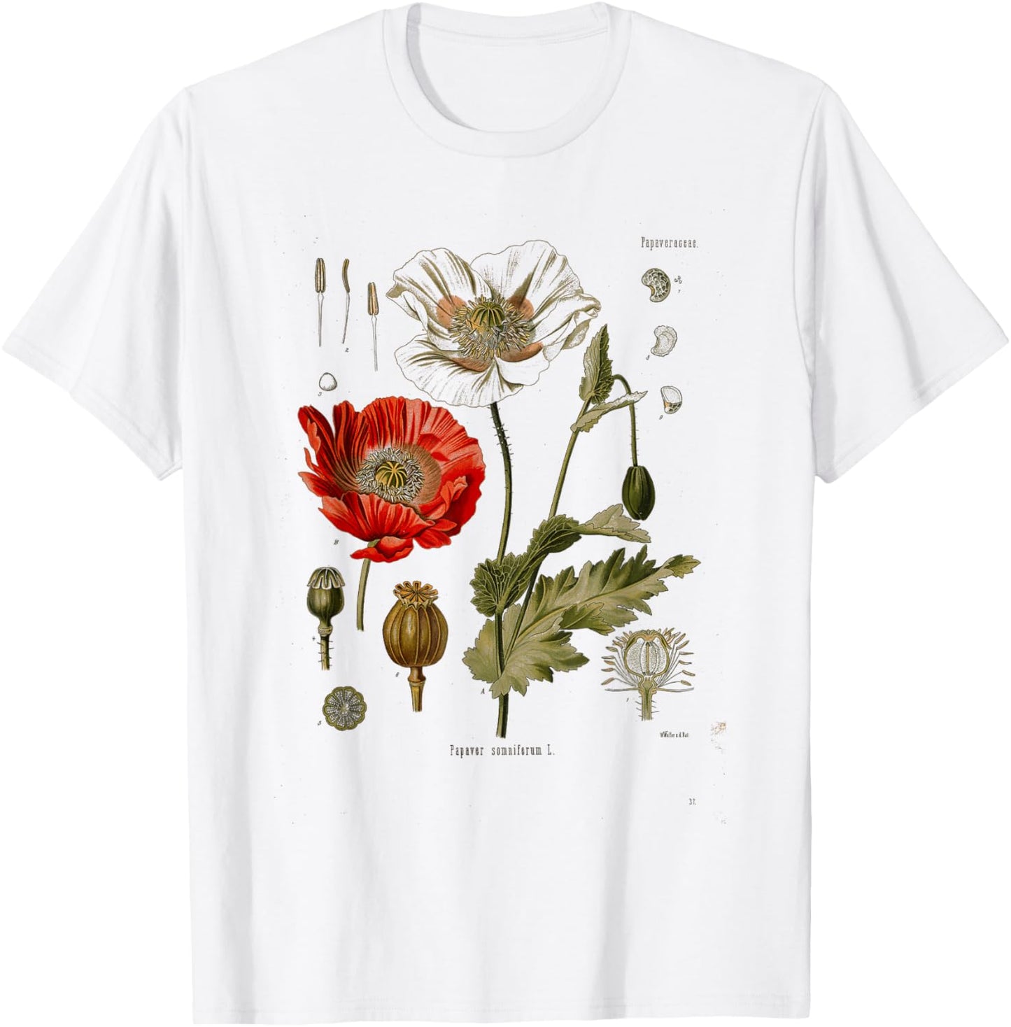Vintage Botanical flower wild flower Garden Botany T-Shirt - T-Shirt | White