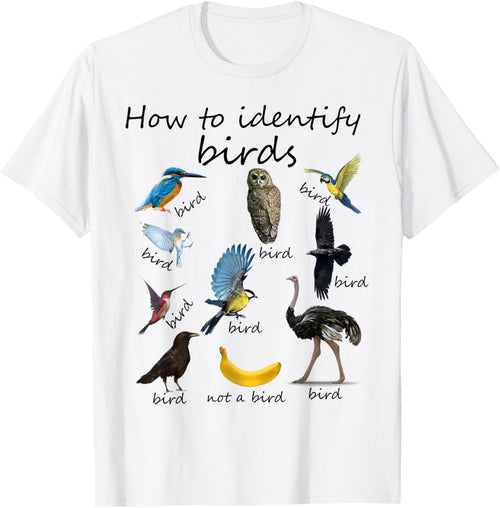How To Identify Birds Bird Watcher