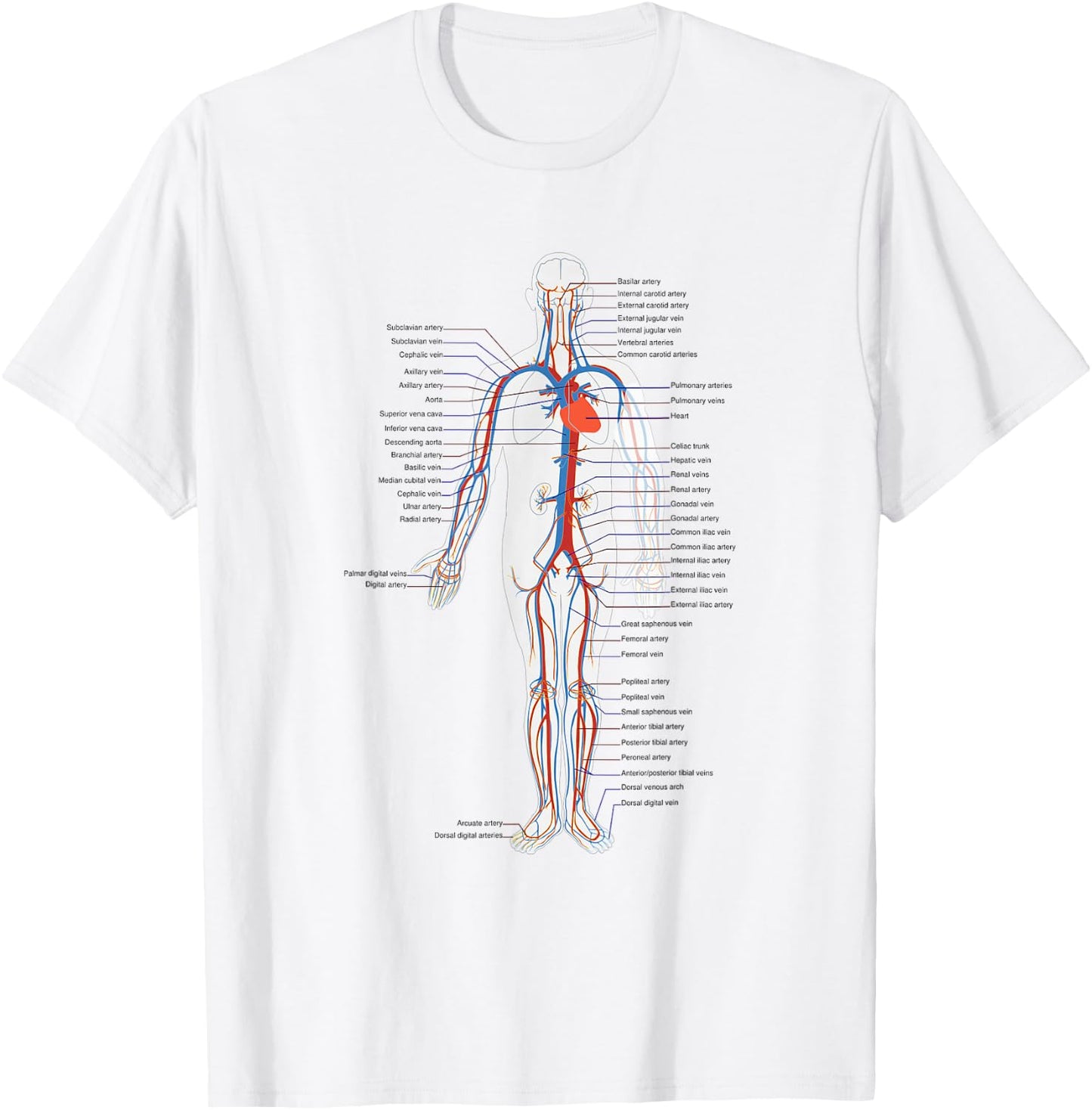 Circulatory System Anatomy Chart Arteries Veins T-Shirt - T-Shirt | White