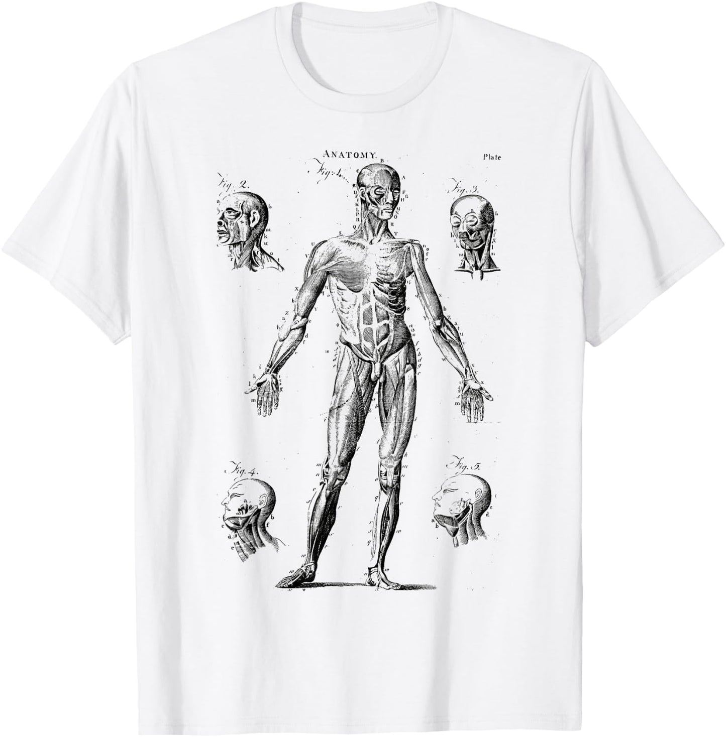 Human Muscle Anatomy Medical Anatomy T-Shirt - T-Shirt | White