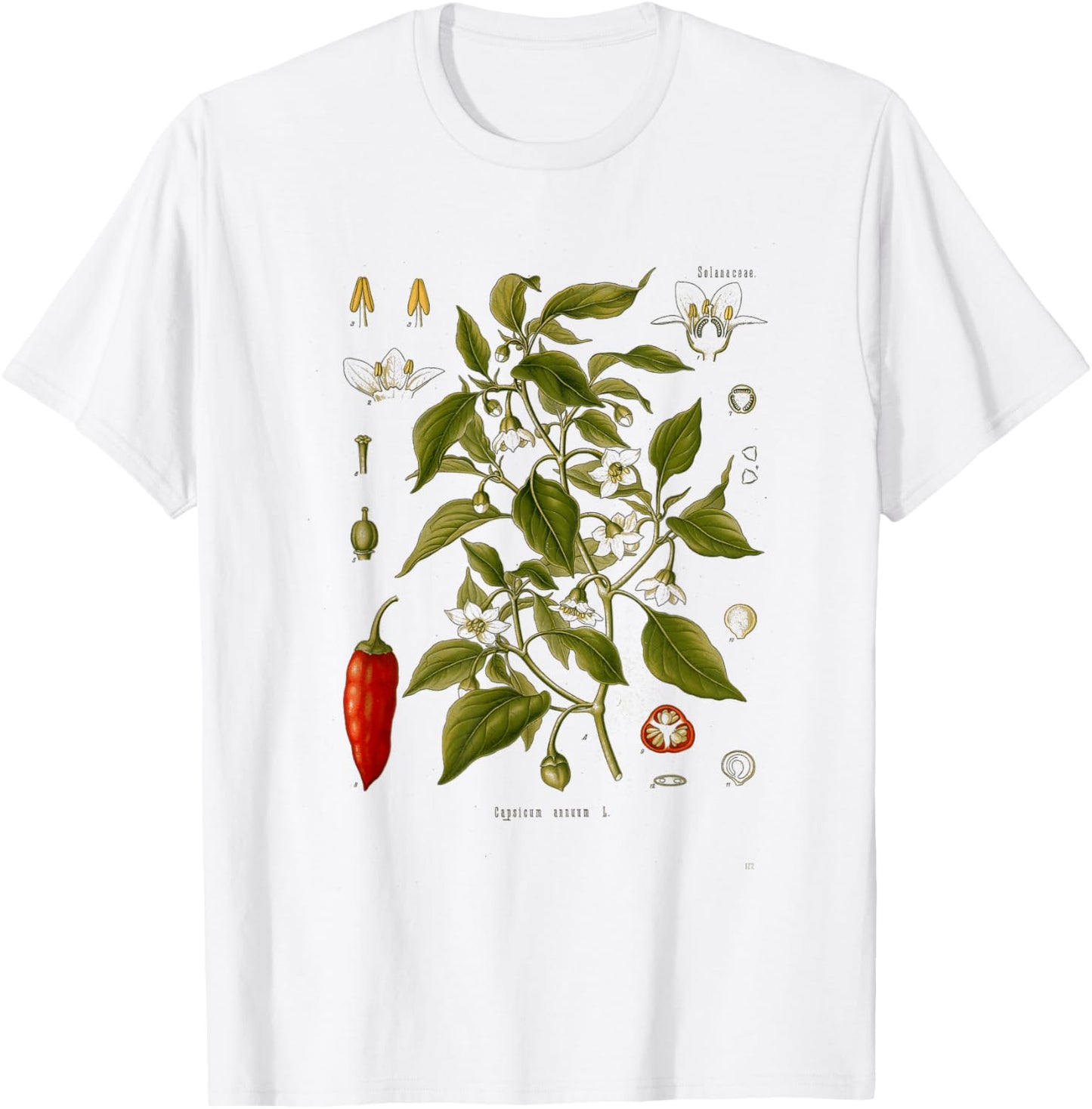 Vintage Botanical chili red peppers Garden Botany T-Shirt - T-Shirt | White