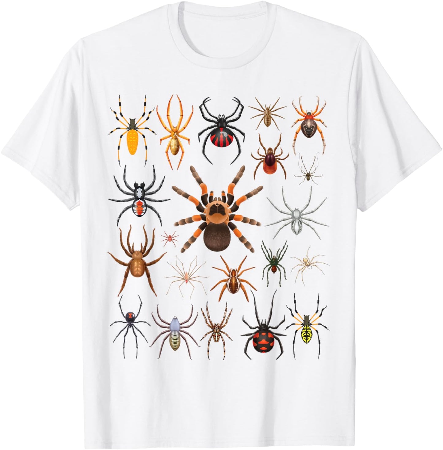 Types of Spiders Educational Entomology Boys Girls Kids T-Shirt - T-Shirt | White