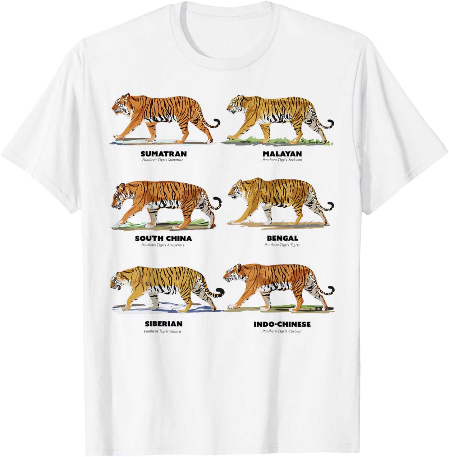 Scientific Exotic Tiger Names T-Shirt - T-Shirt | White