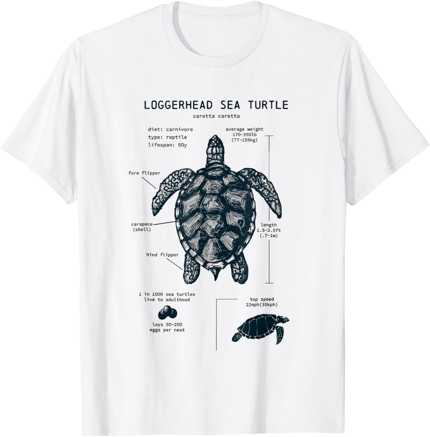 Youth Sea Turtle Anatomy T-Shirt - T-Shirt | White