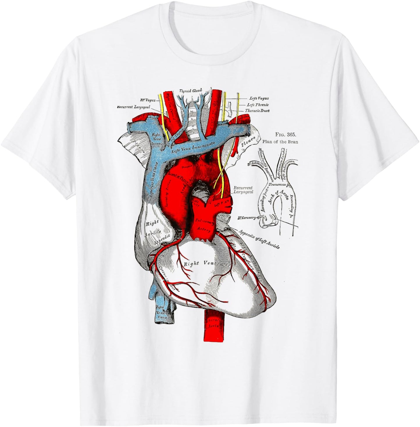 Vintage medical Human Heart Anatomy Illustration T-Shirt - T-Shirt | White