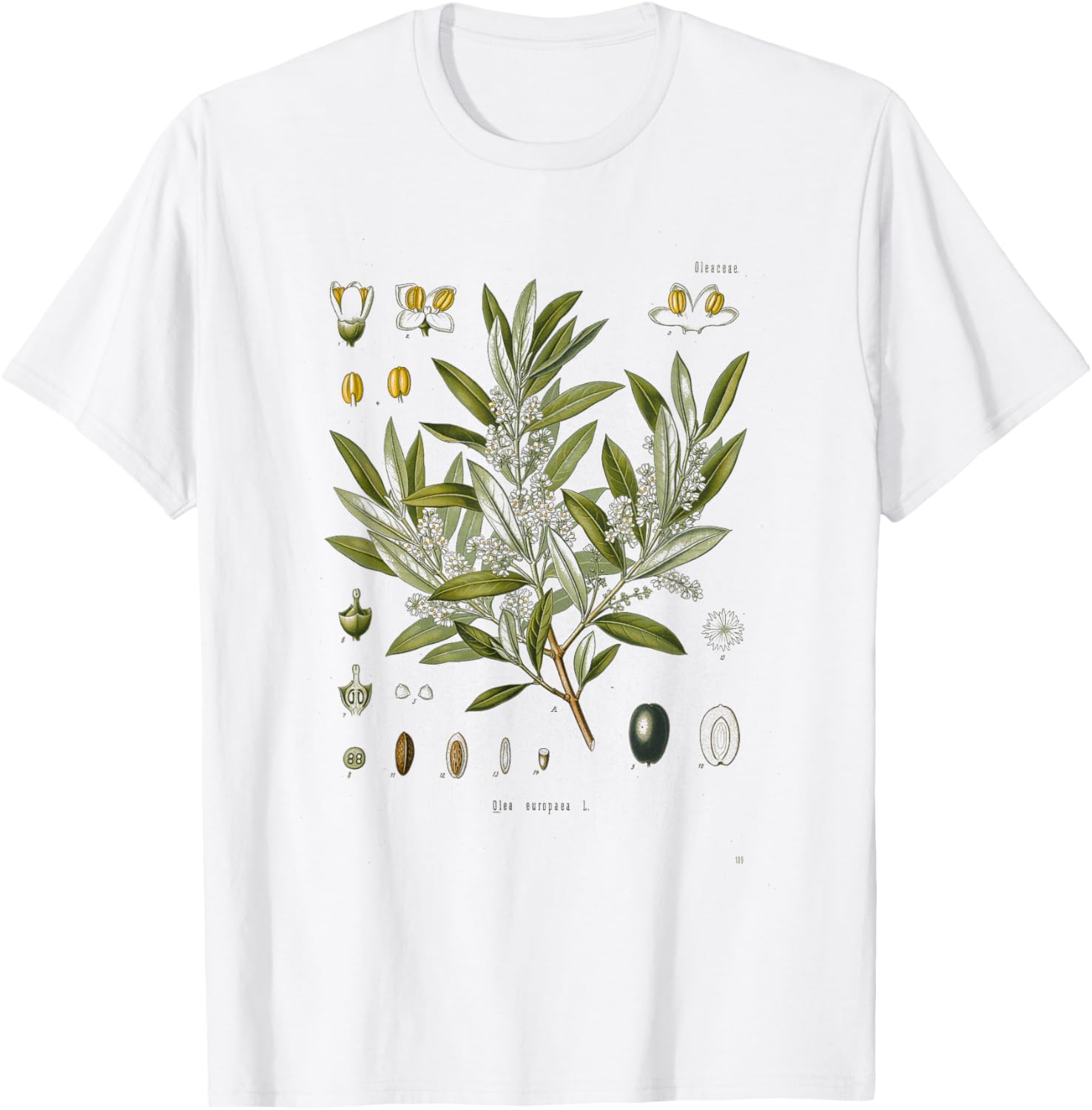 Vintage Botanical Garden Botany Olive tree T-Shirt - T-Shirt | White