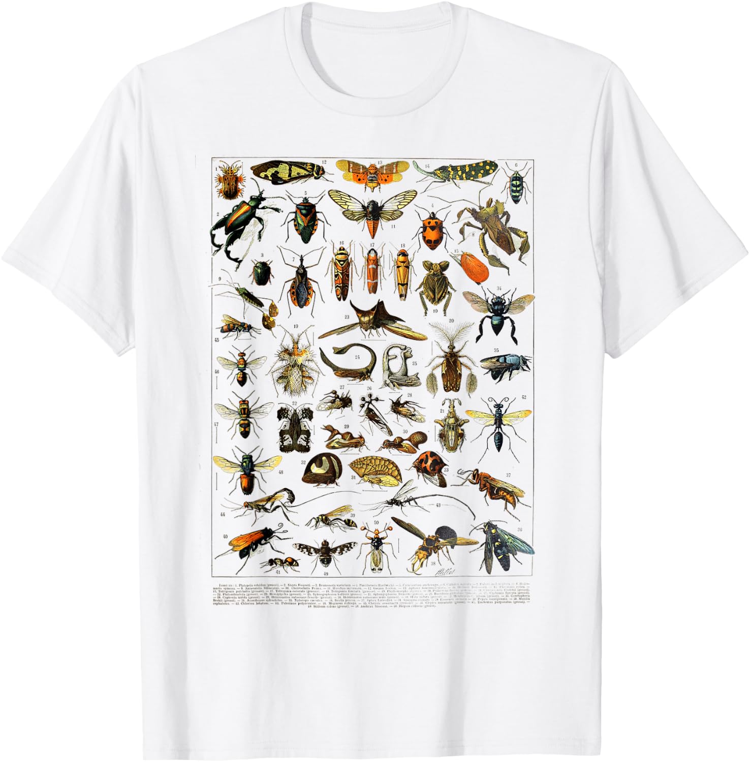 insects Collection Species Bugs Vintage Entomology T-Shirt - T-Shirt | White