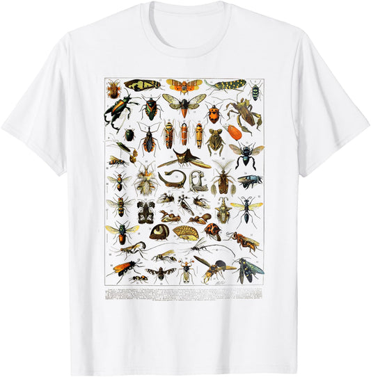 insects Collection Species Bugs Vintage Entomology T-Shirt - T-Shirt | White