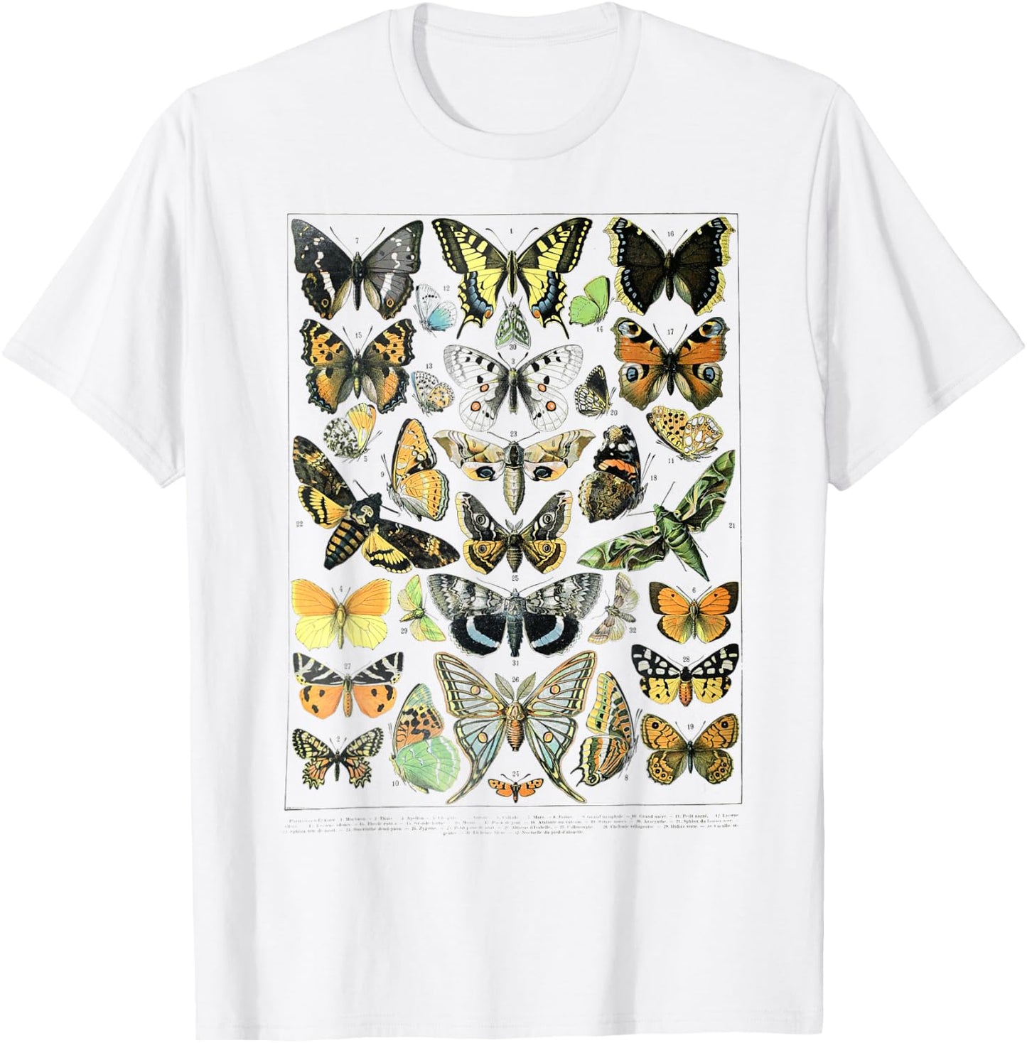 Papillons Butterflies print Butterflies Illustration chart T-Shirt - T-Shirt | White