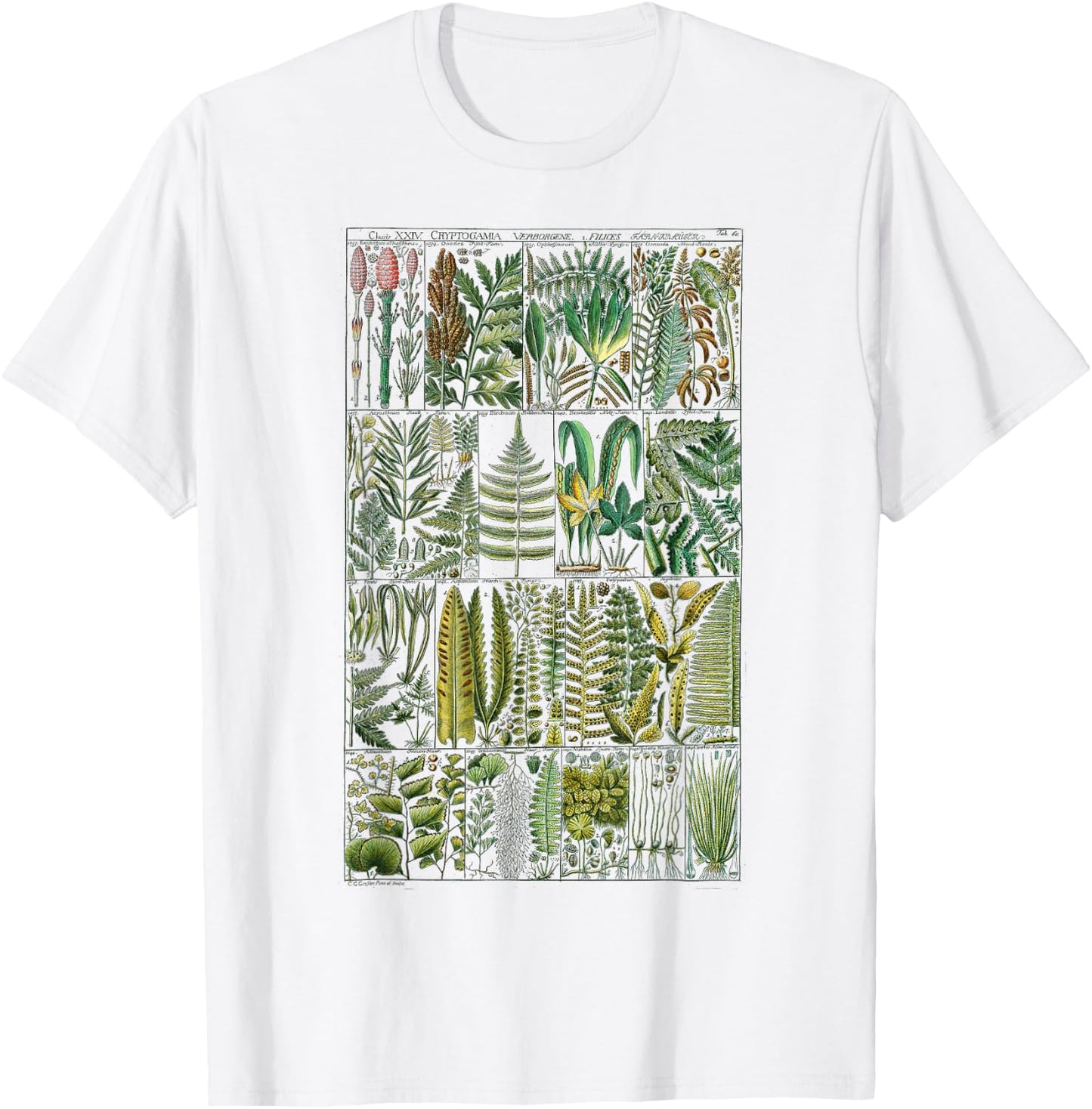 Fern Botanical Plant Botany T-Shirt - T-Shirt | White