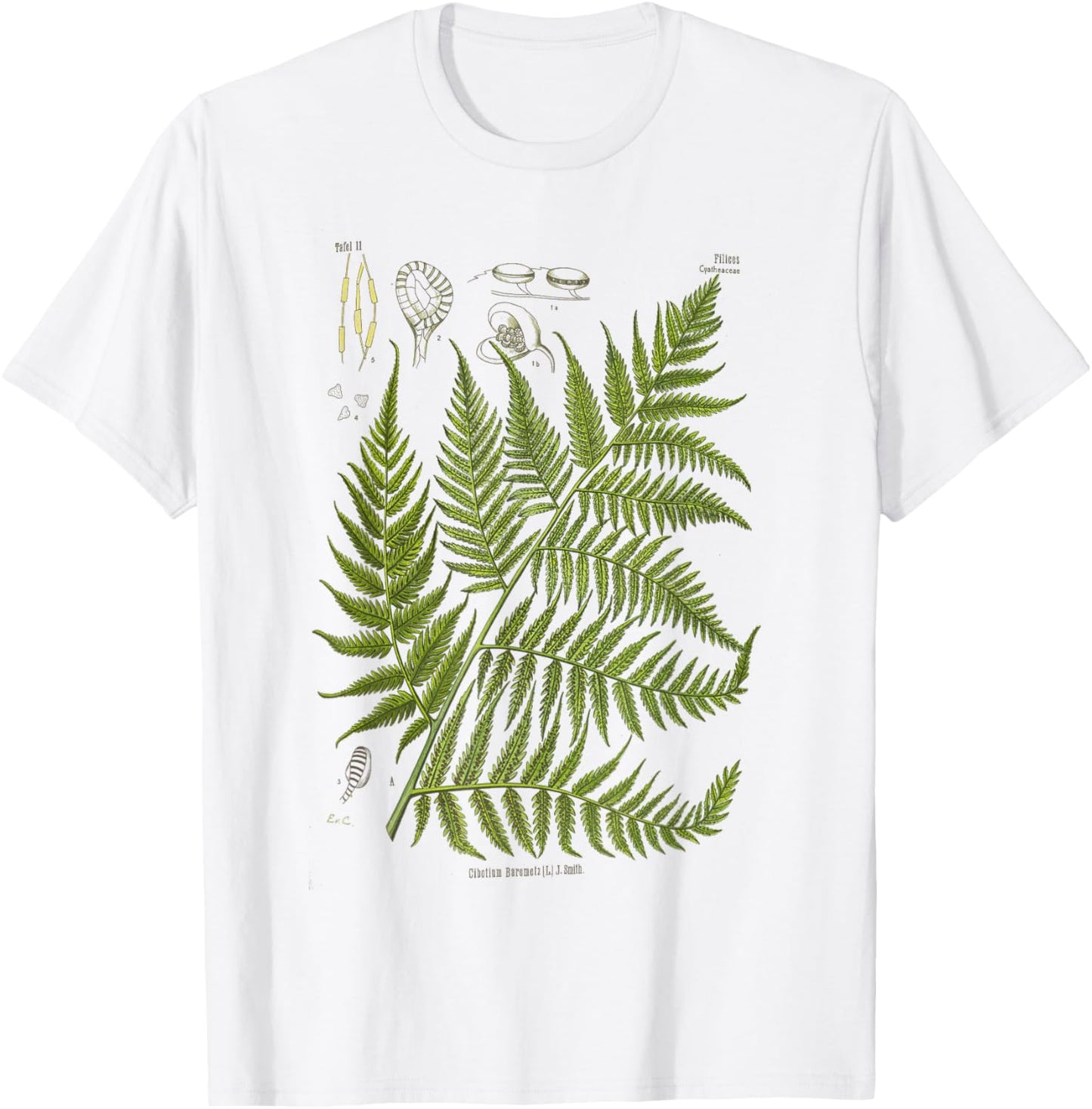 Vintage Botanical Fern Garden Botany Fern T-Shirt - T-Shirt | White