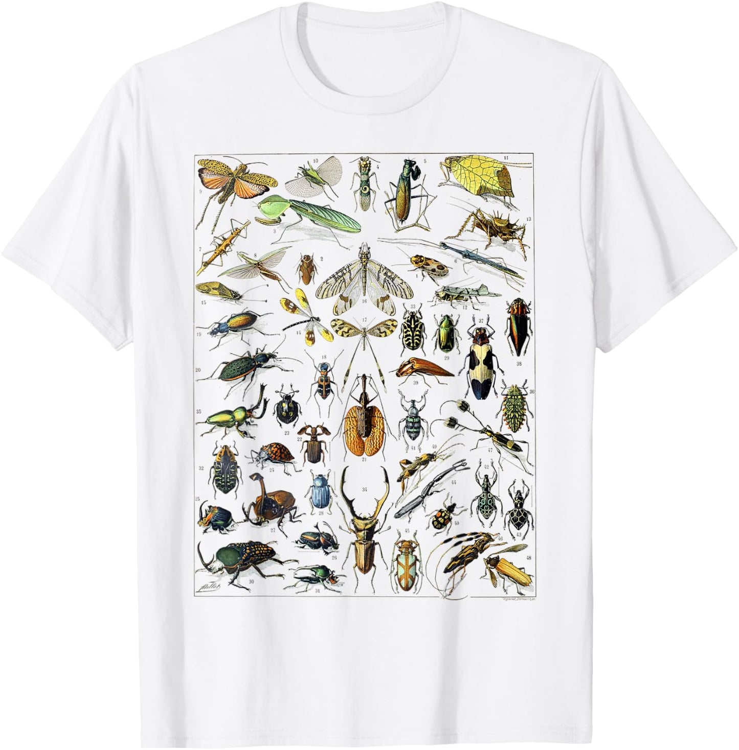 Insect Bug Entomology Print Gift Bug Print T-Shirt - T-Shirt | White