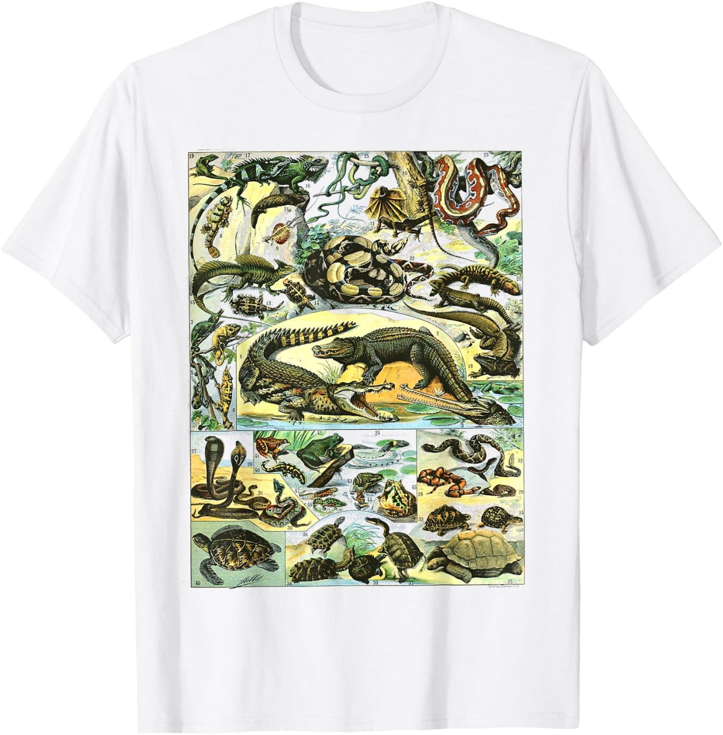 Reptiles Collection Table Turtle Snake Species Vintage T-Shirt - T-Shirt | White