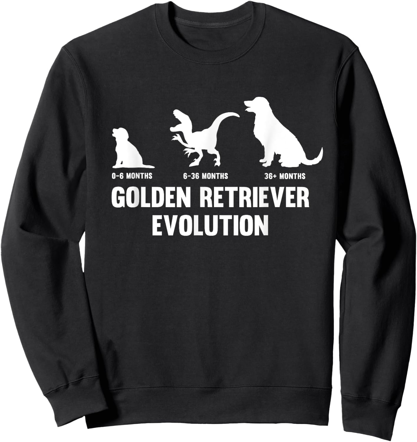 Golden Retriever Evolution for a Golden Retriever Owner Sweatshirt - Sweatshirt | Black
