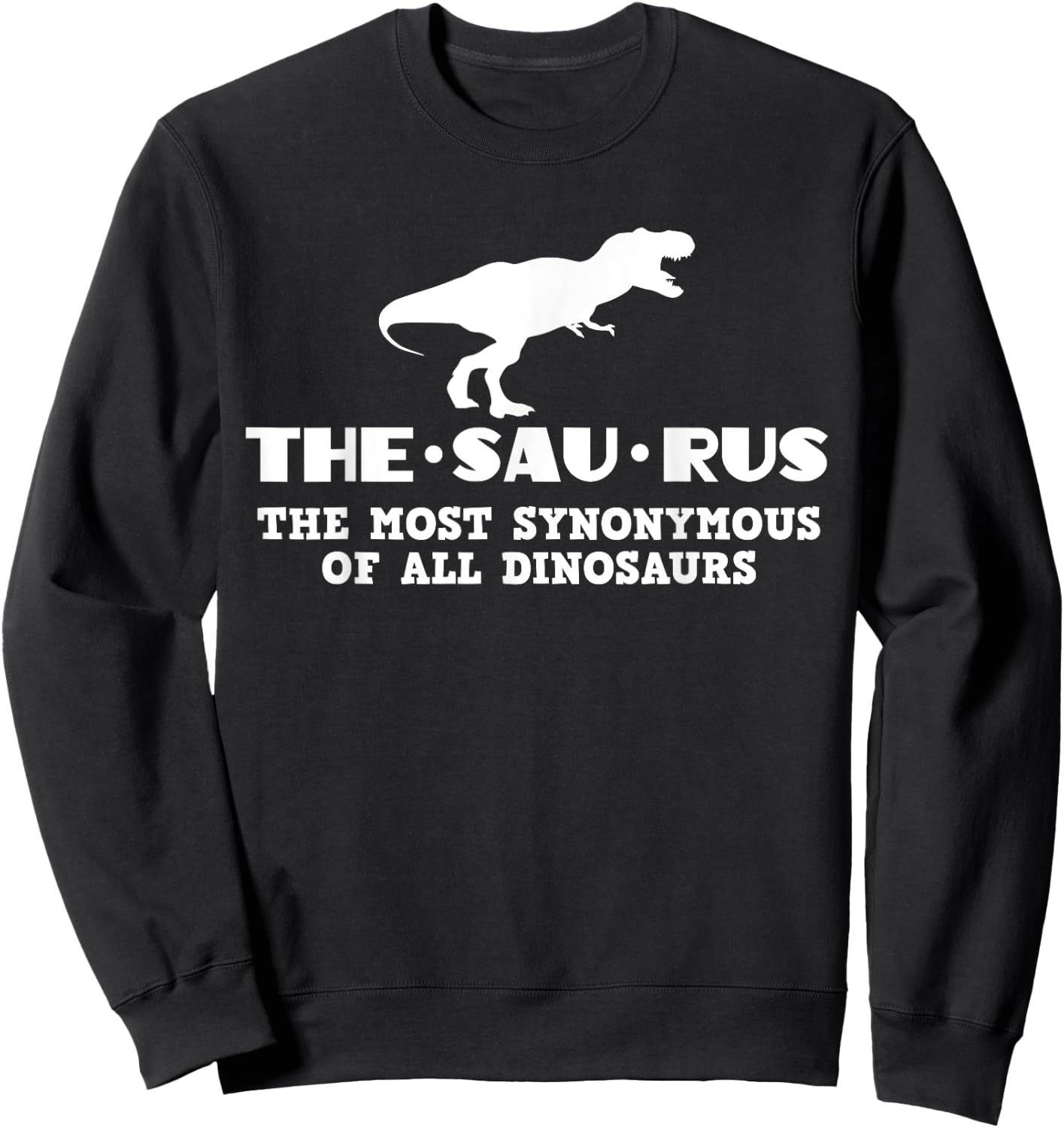Funny Thesaurus Dinosaur Grammar Librarian Vocabulary Sweatshirt - Sweatshirt | Black